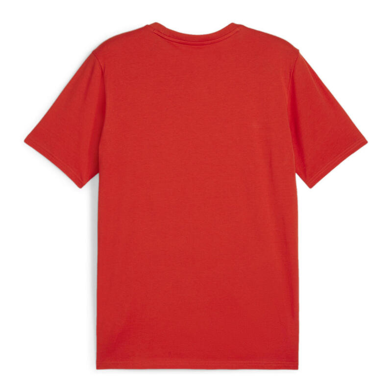 Tricou Drumeții În Natură Puma Team Goal Casuals Bărbați