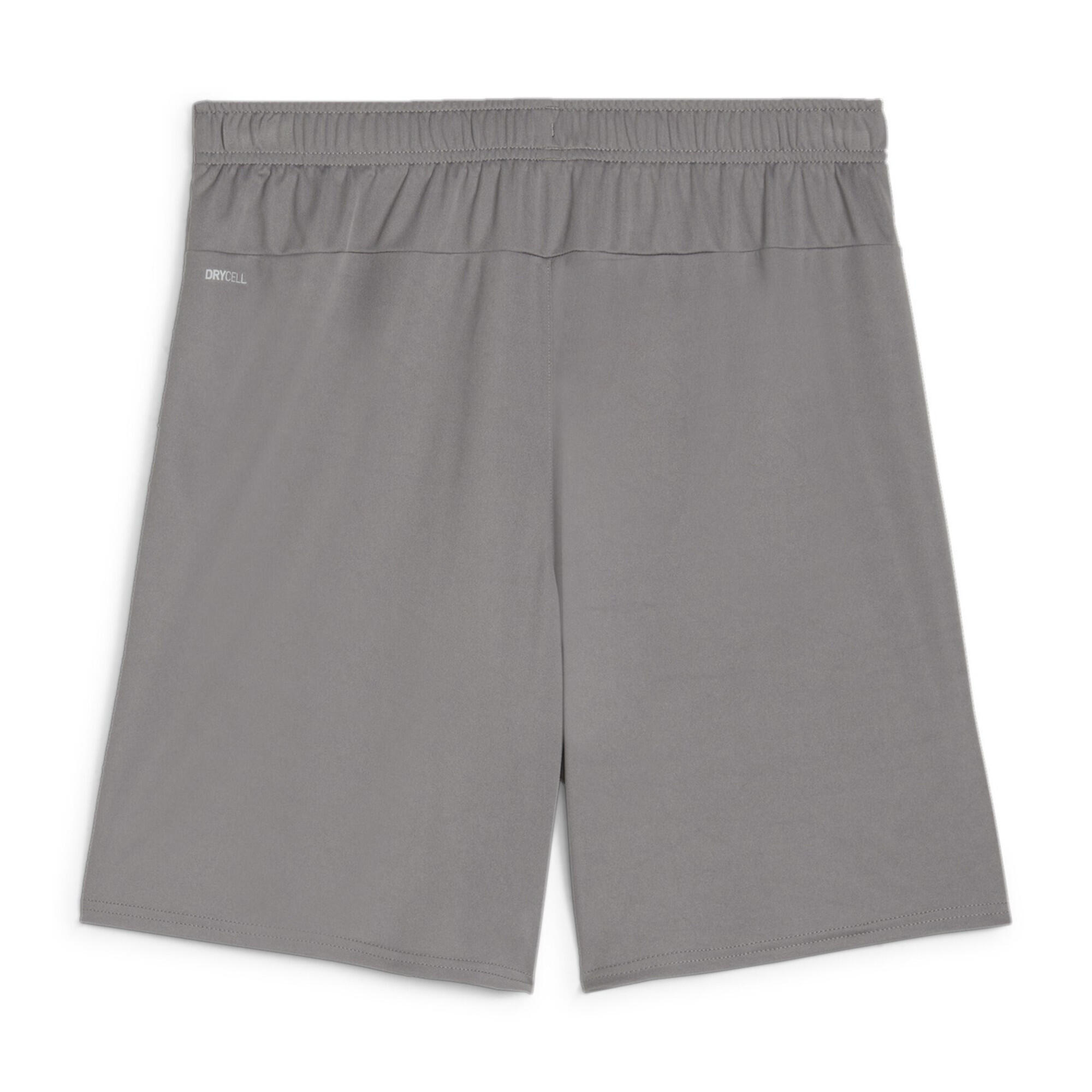 Calções para crianças Puma TeamGloal 2/2