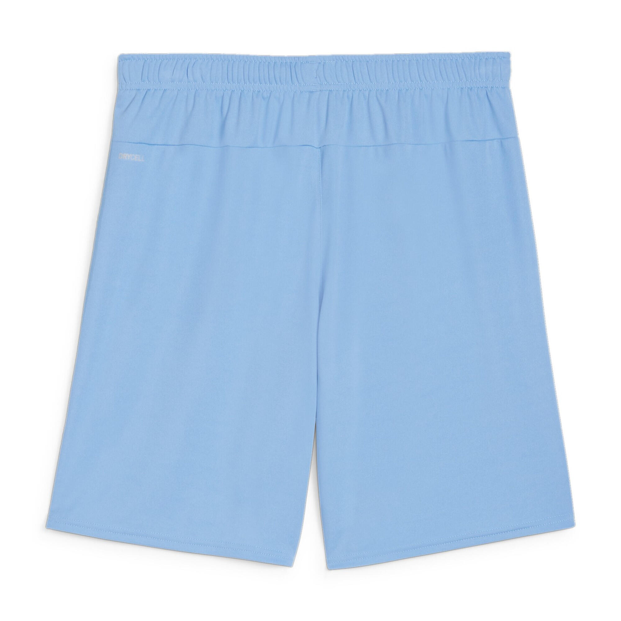 Short Puma TeamGloal 2/2