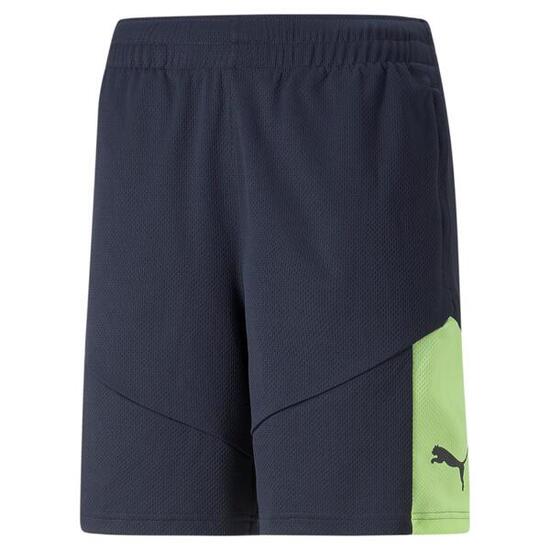 Puma Herren Short individualFINAL Training Shorts 658042