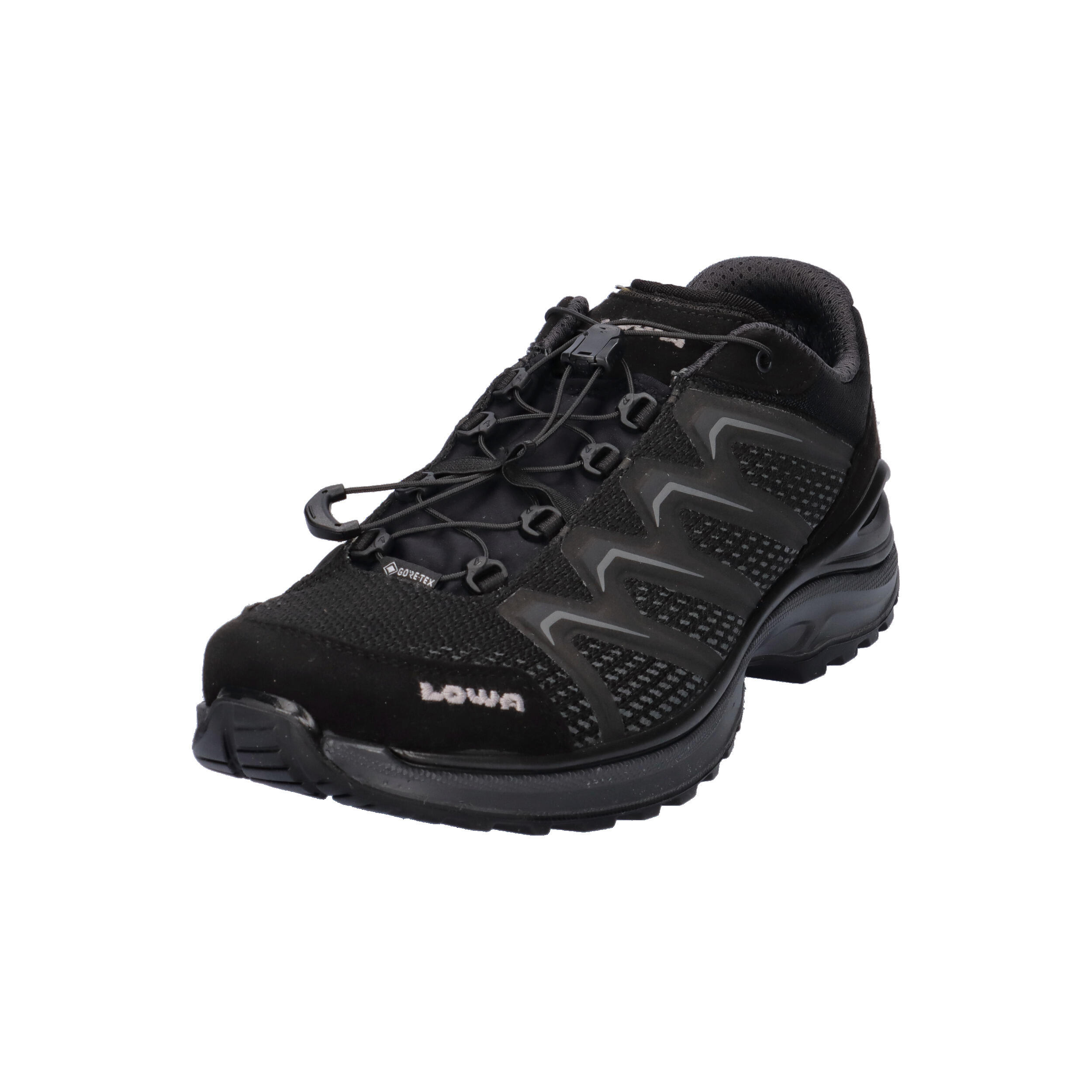 Lowa Herren Wanderschuhe Maddox GTX LO TF 310630 4/15