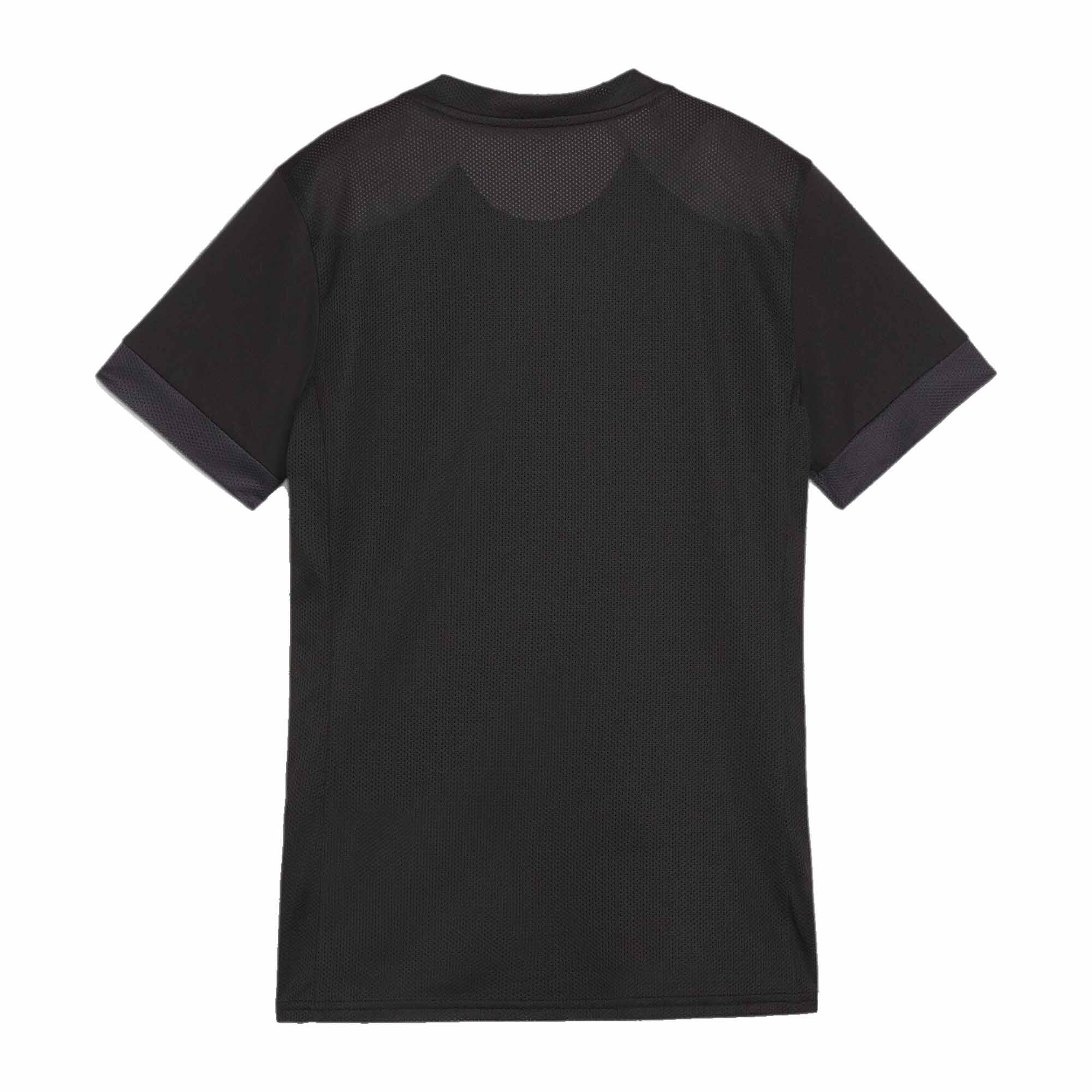 Camisola feminina Puma Teamgoal Matchday 2/2