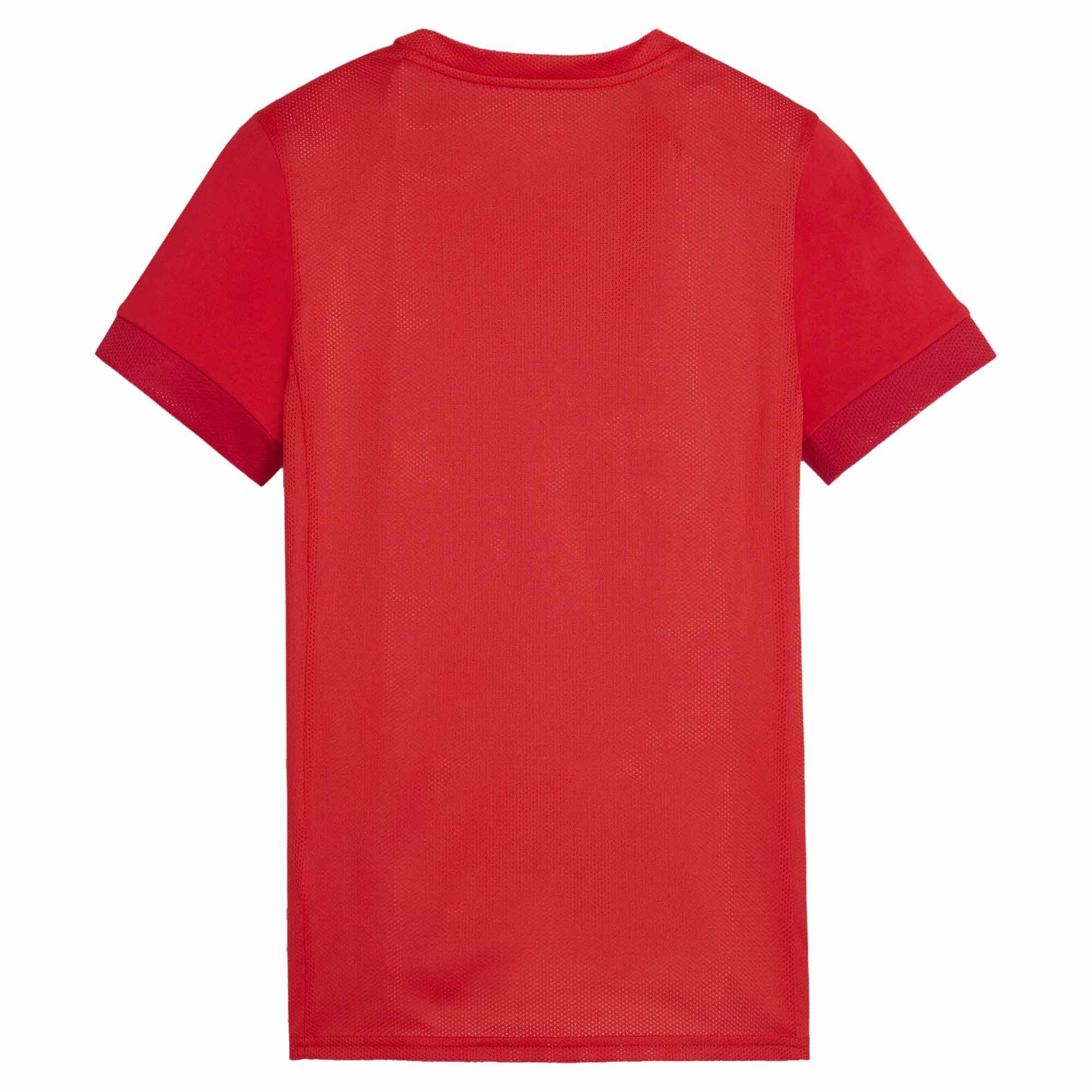 Damski jersey Puma Teamgoal Matchday 2/2