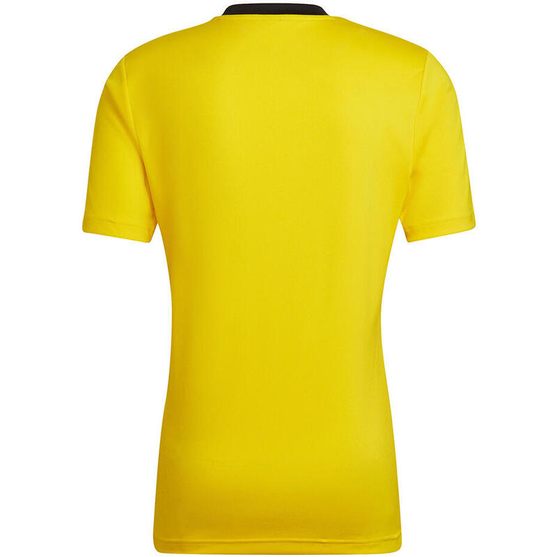 Tricou Fitness ADIDAS Entrada Roz Bărbați