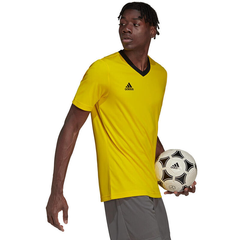 Tricou Fitness ADIDAS Entrada Roz Bărbați