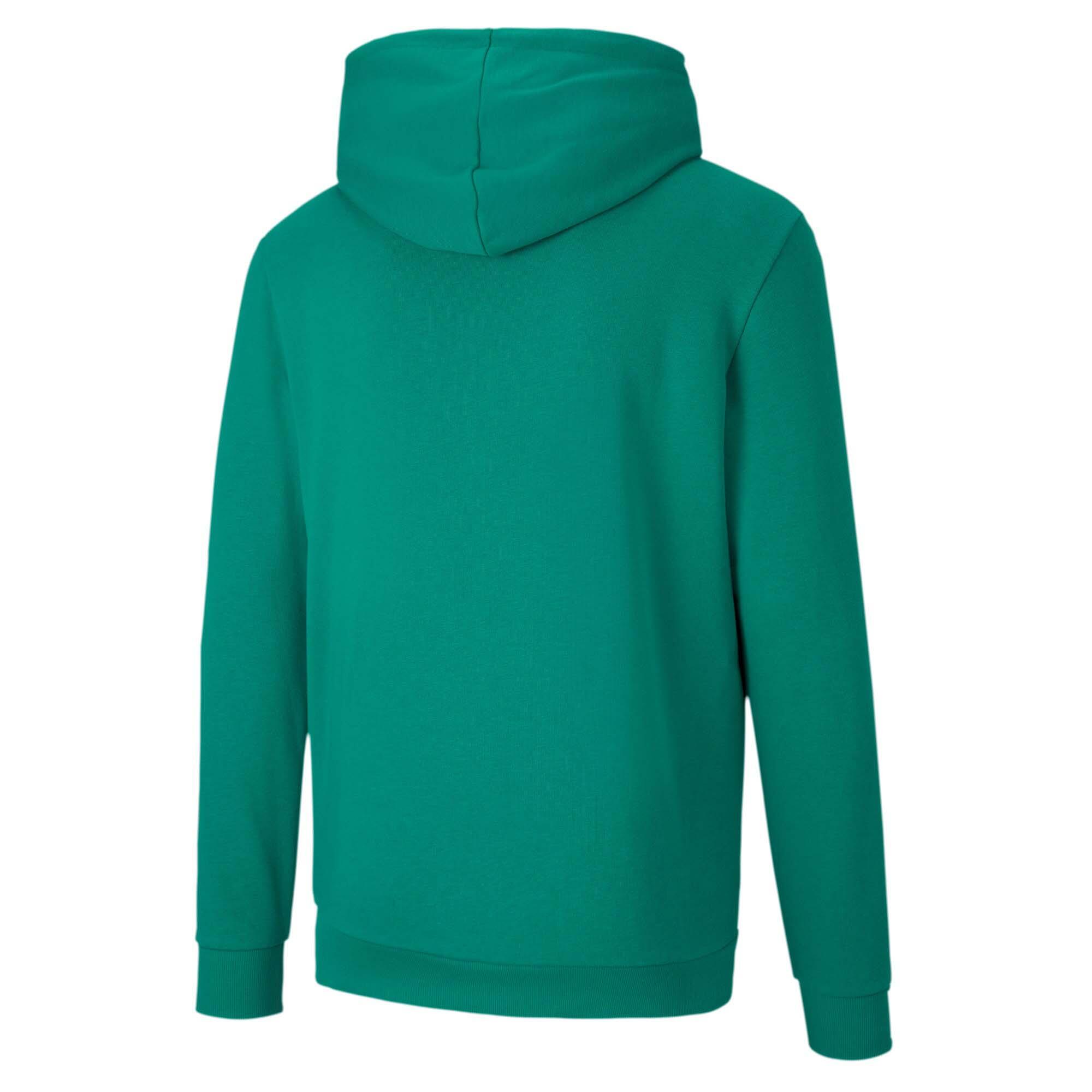 Sweat À Capuche TEAMGOAL Homme (Vert) 2/6