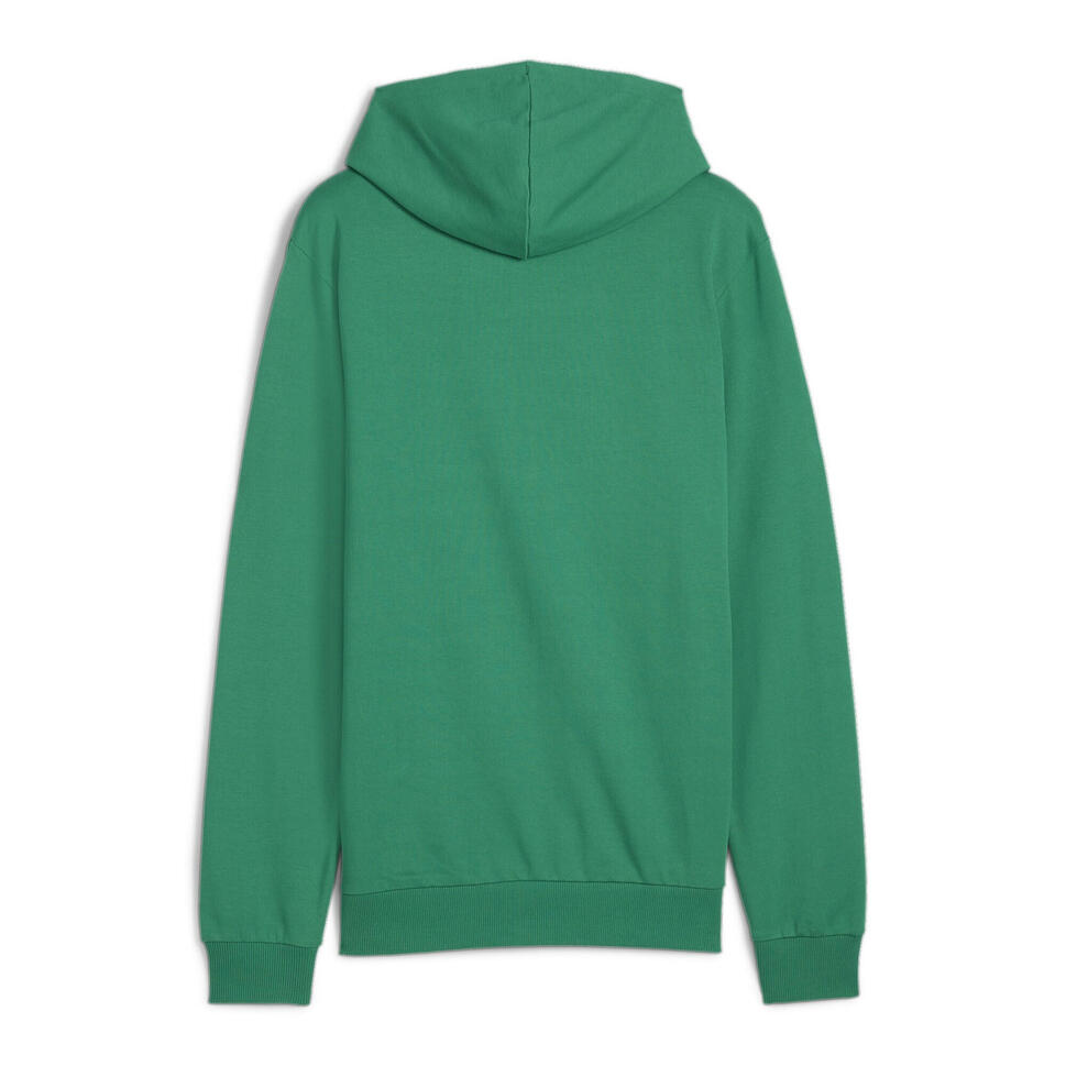 Bluza męska Puma Team Goal Casuals Hoody