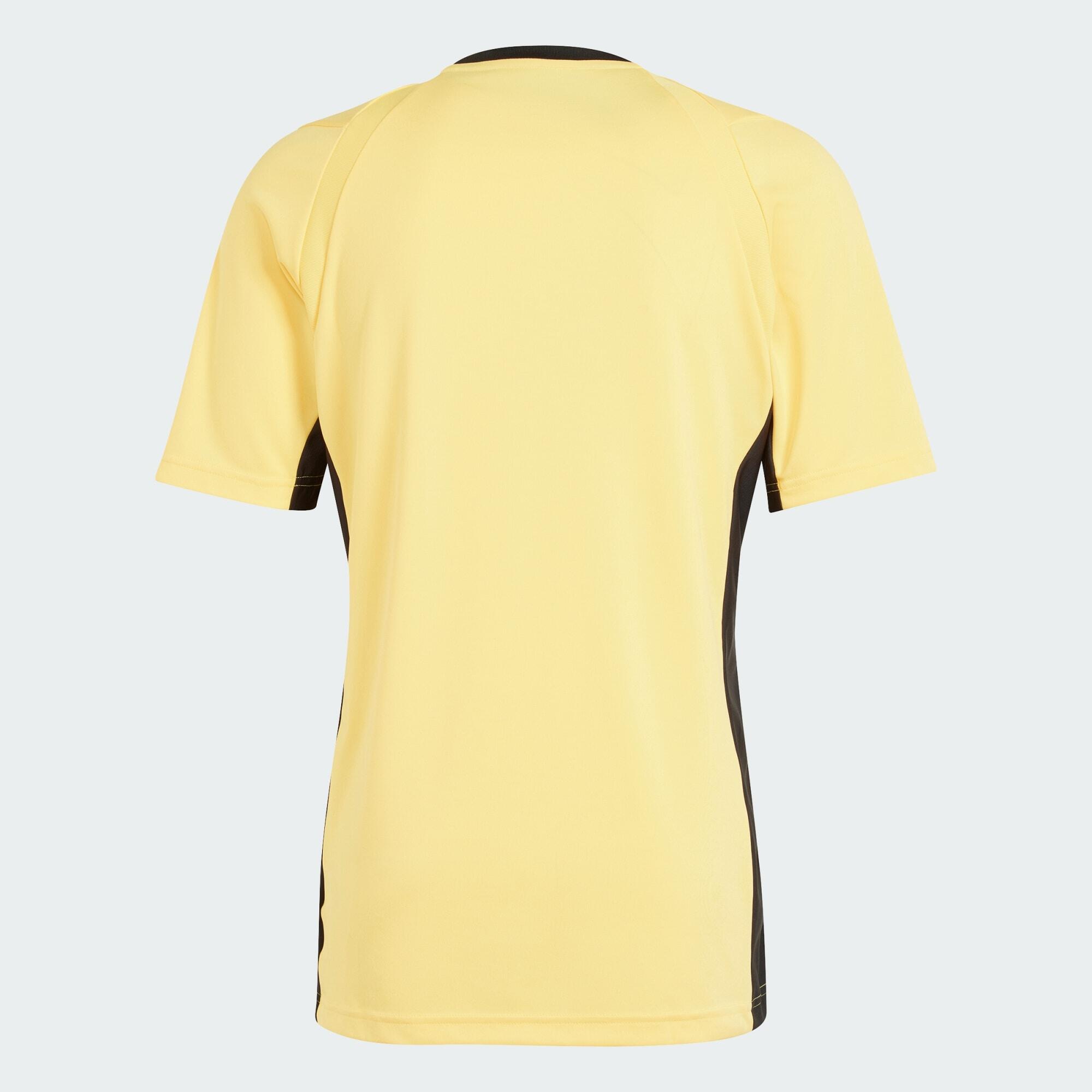 Camisola de Árbitro 24 6/7