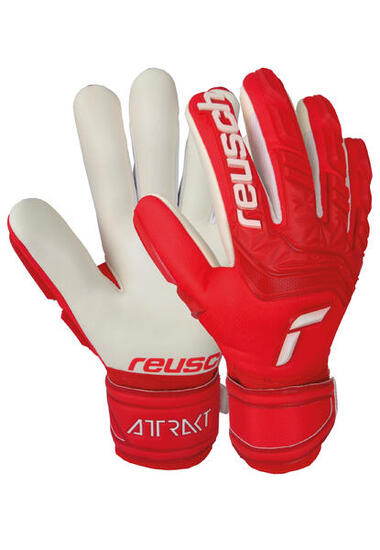 Guanti da portiere Reusch Attrakt Freegel Silver