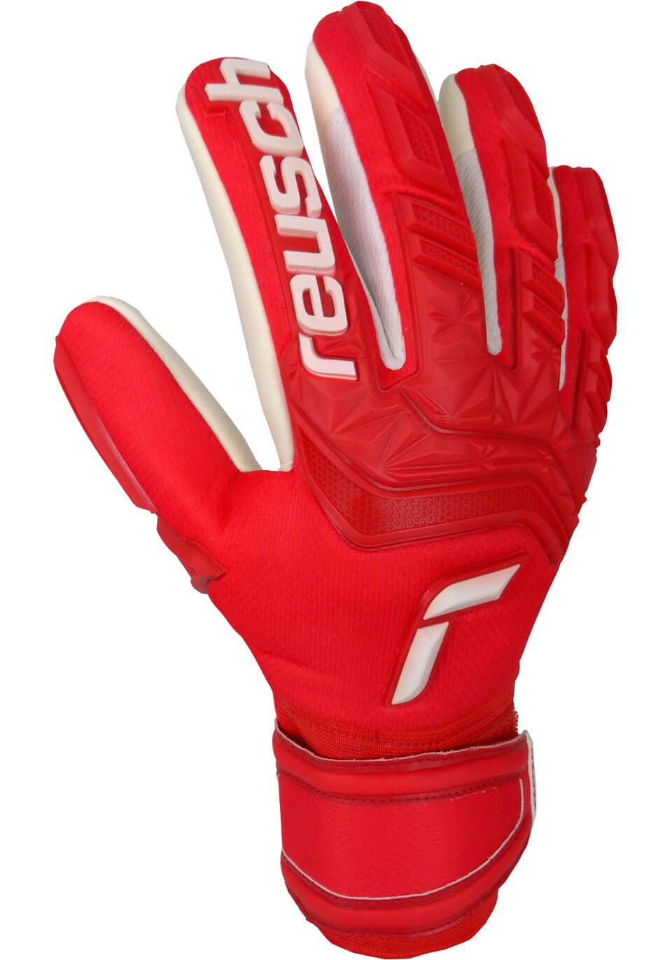 Gants de gardien de but Attrakt Freegel Silver 2/5