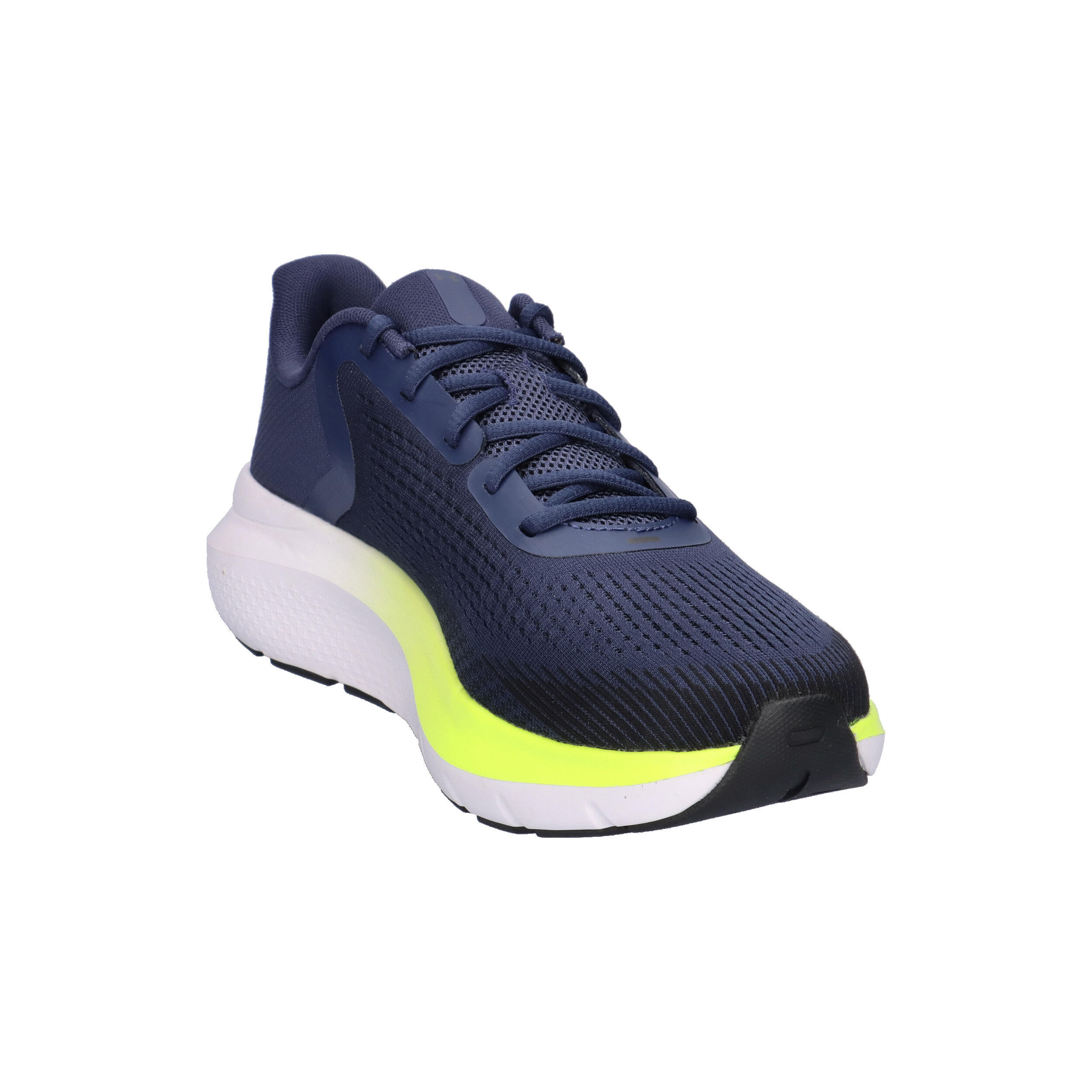 Under Armour Herren Laufschuhe UA Charged Rogue 5 3028256 2/15