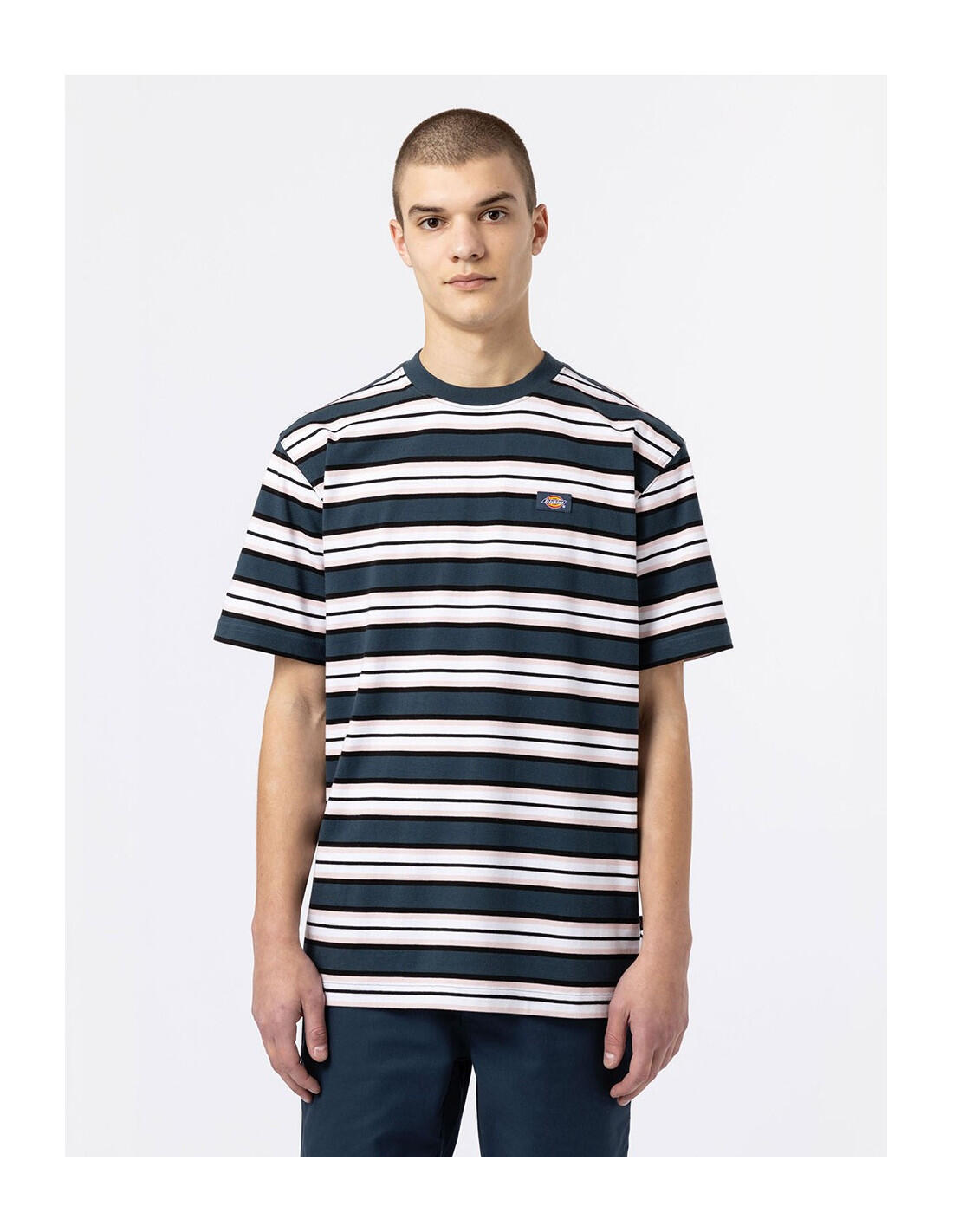 T-shirt DICKIES DK0A4XPC 1/5