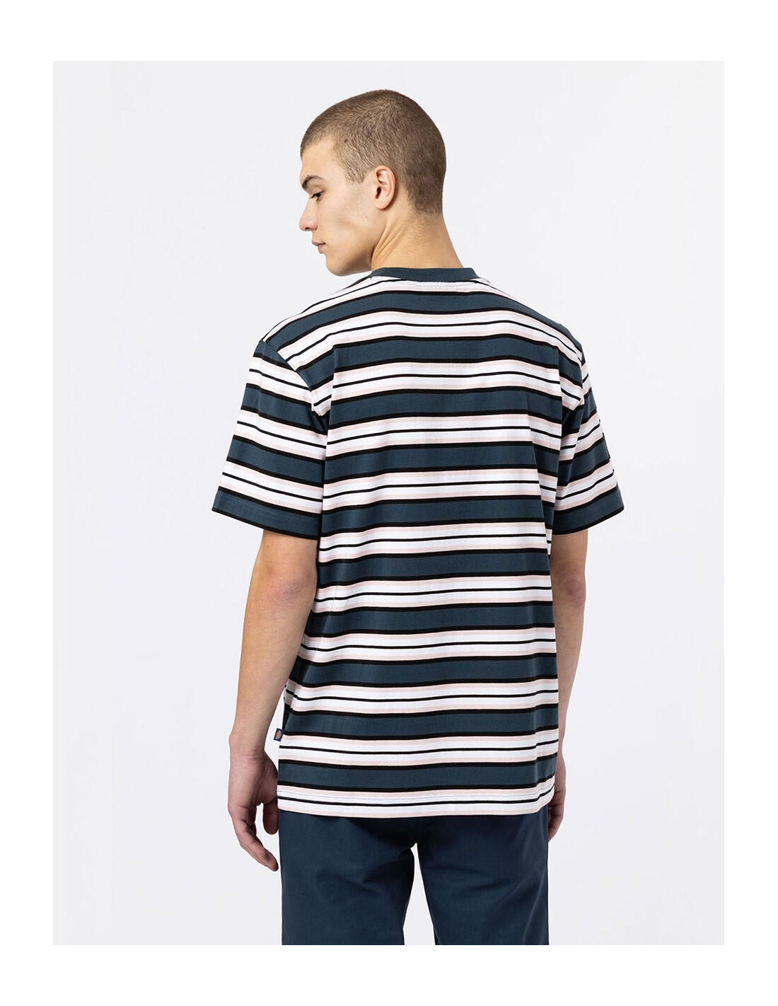 T-shirt DICKIES DK0A4XPC 3/5
