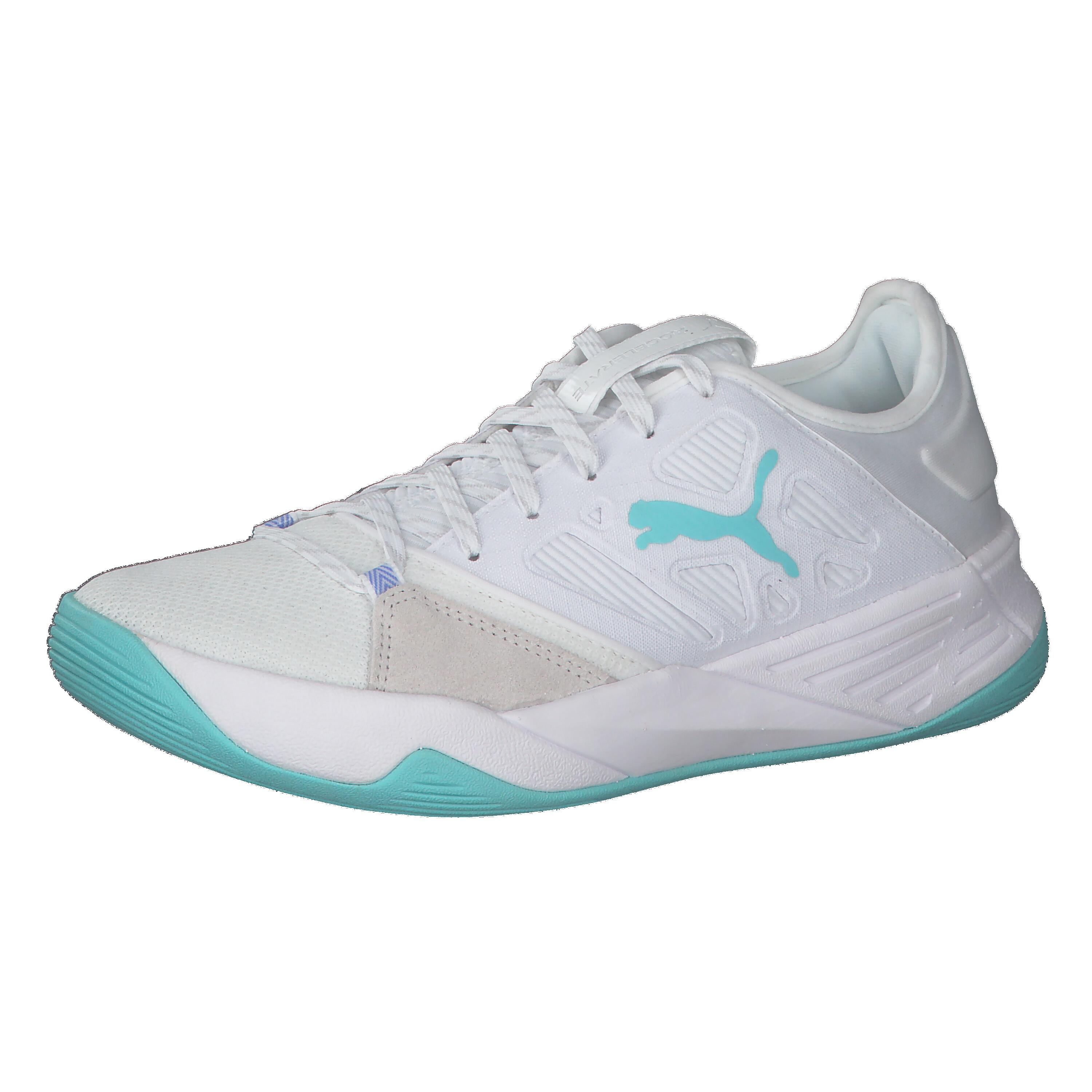 PUMA picture