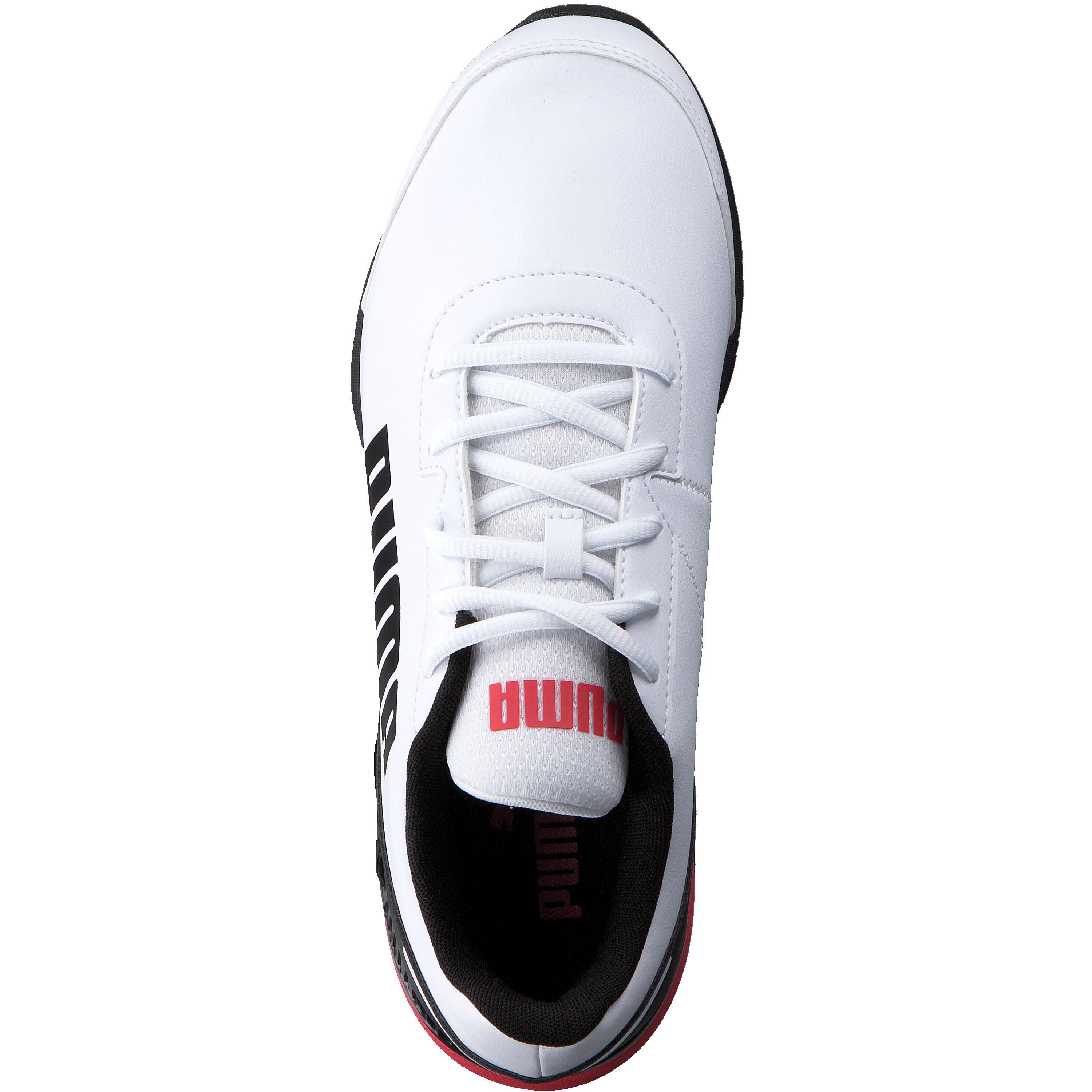 Puma Herren Trainingsschuhe Equate SL 377158 5/15