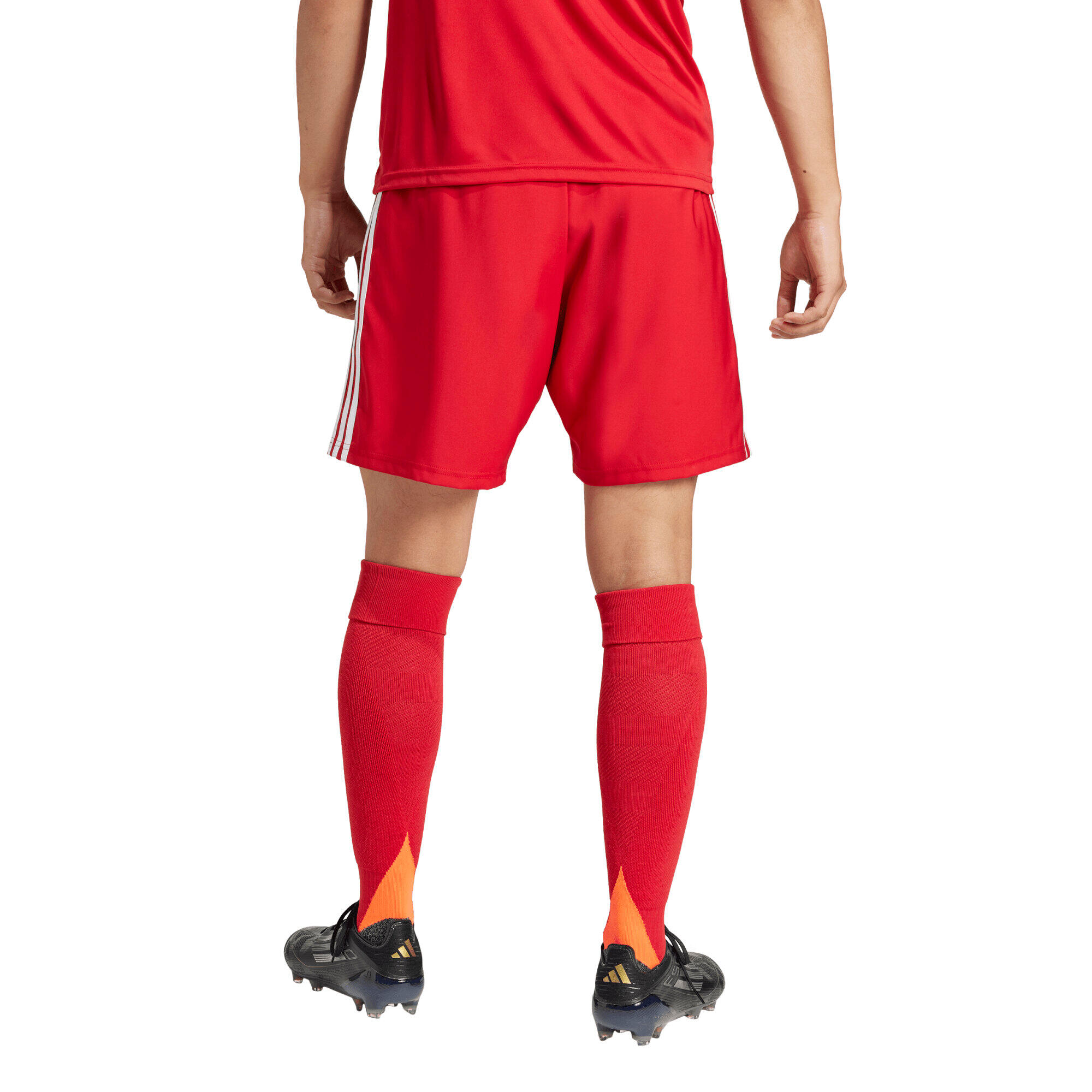 Shorts adidas Tastigo 25 3/7
