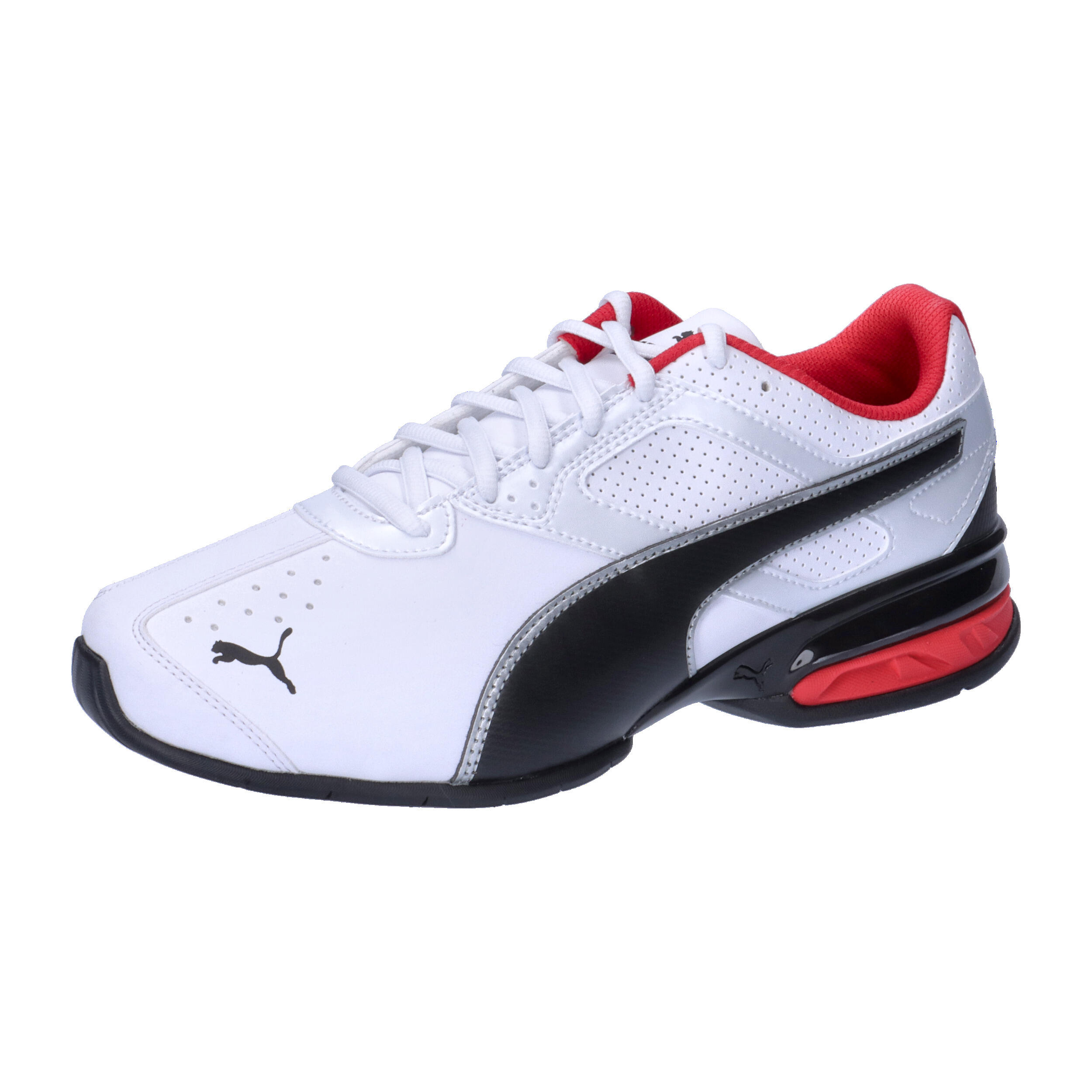 PUMA picture