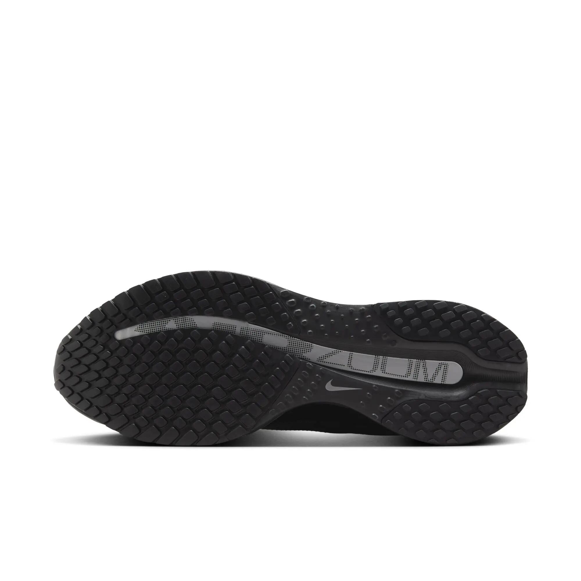 Nike Nike Pegasus Premium - black/black-metallic silver 6/6