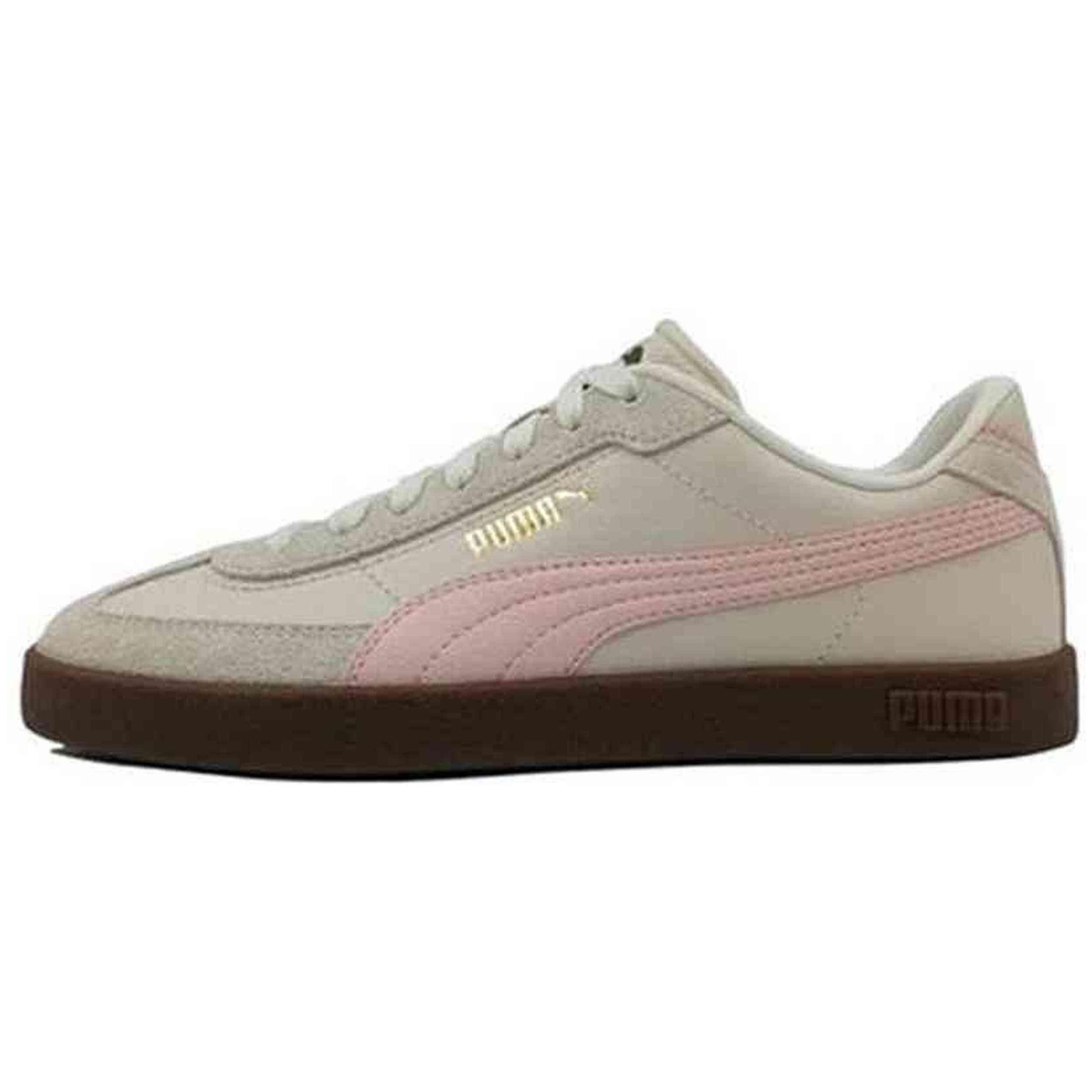 PUMA picture