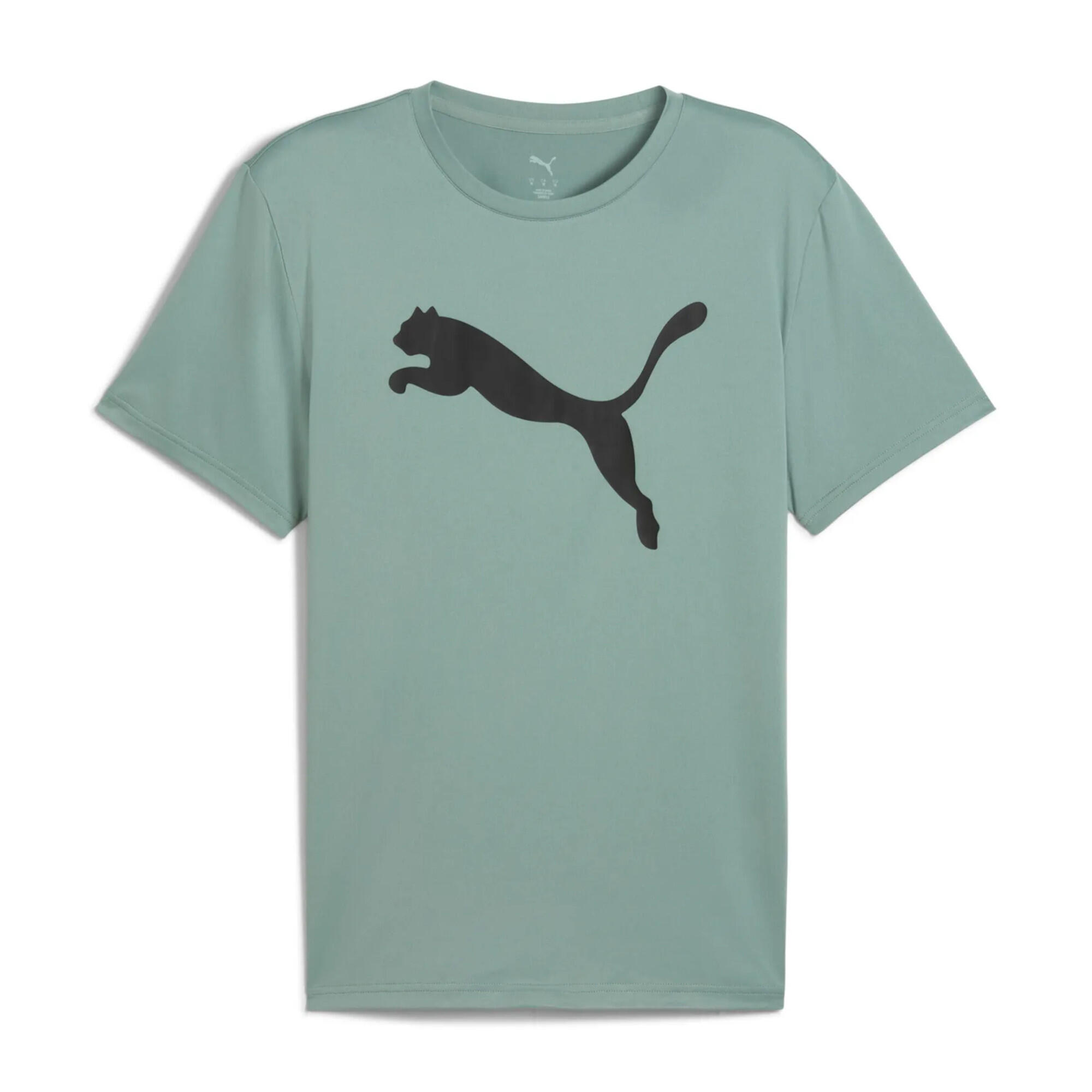 PUMA picture