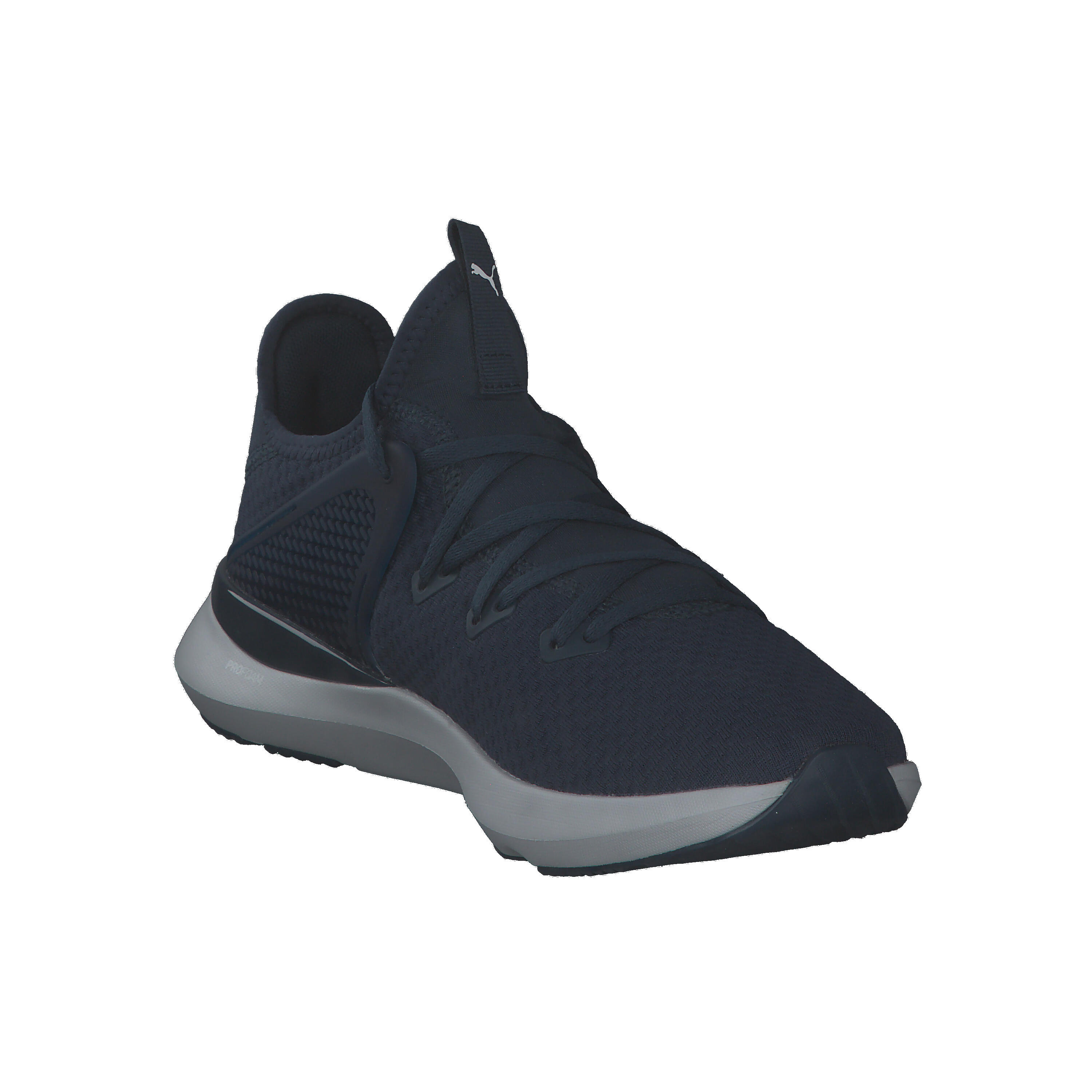 Puma Herren Trainingsschuhe Pure XT Fresh 377276 2/15