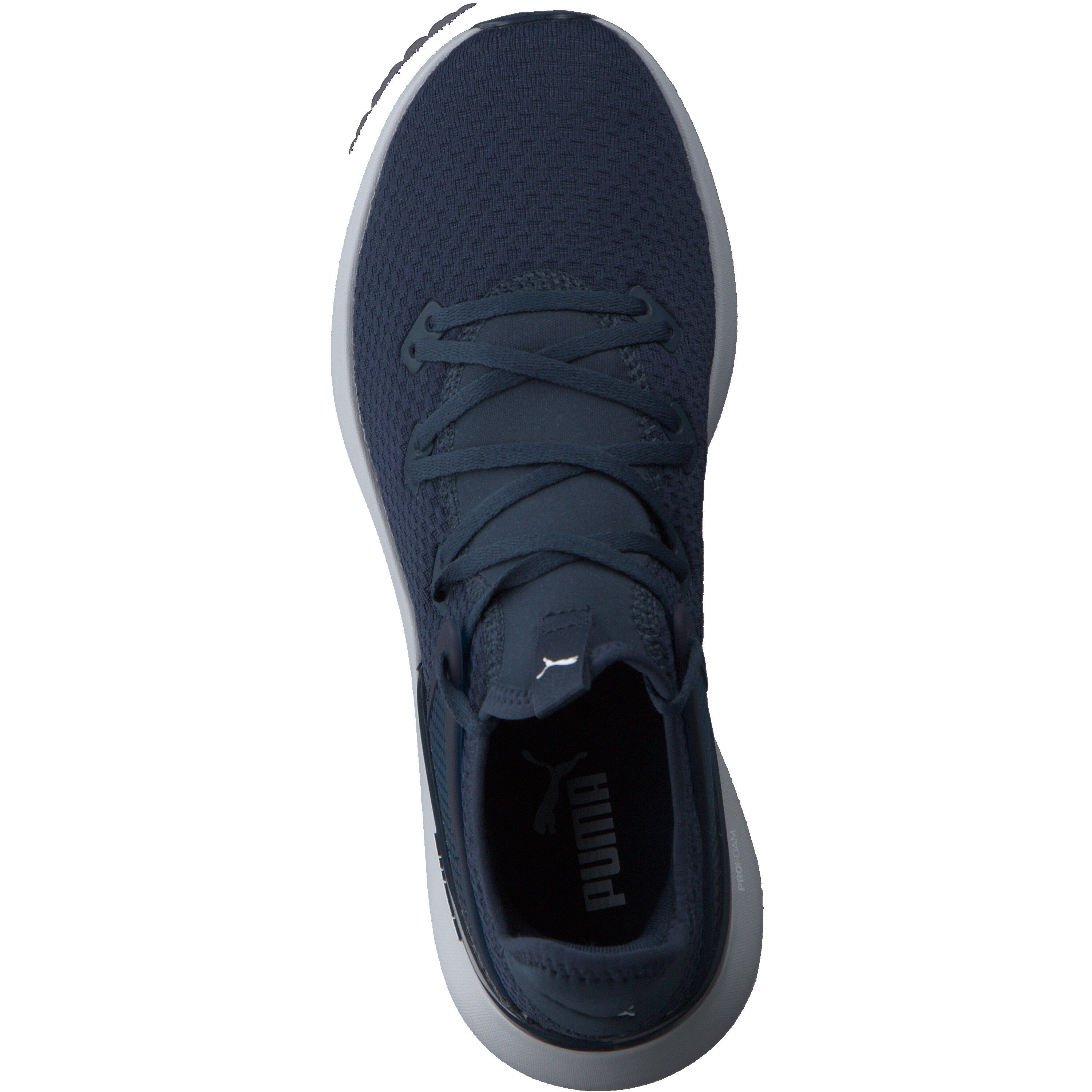 Puma Herren Trainingsschuhe Pure XT Fresh 377276 5/15