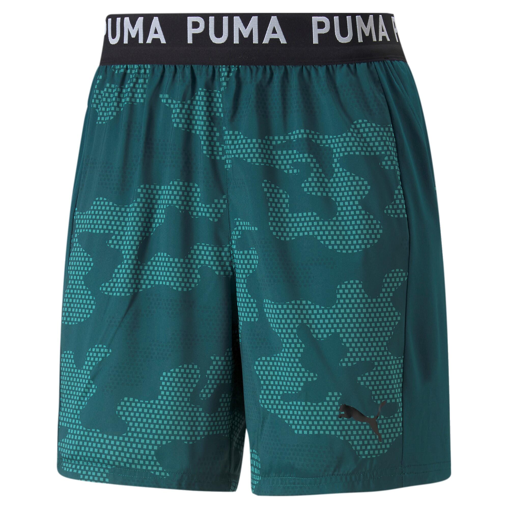 PUMA picture