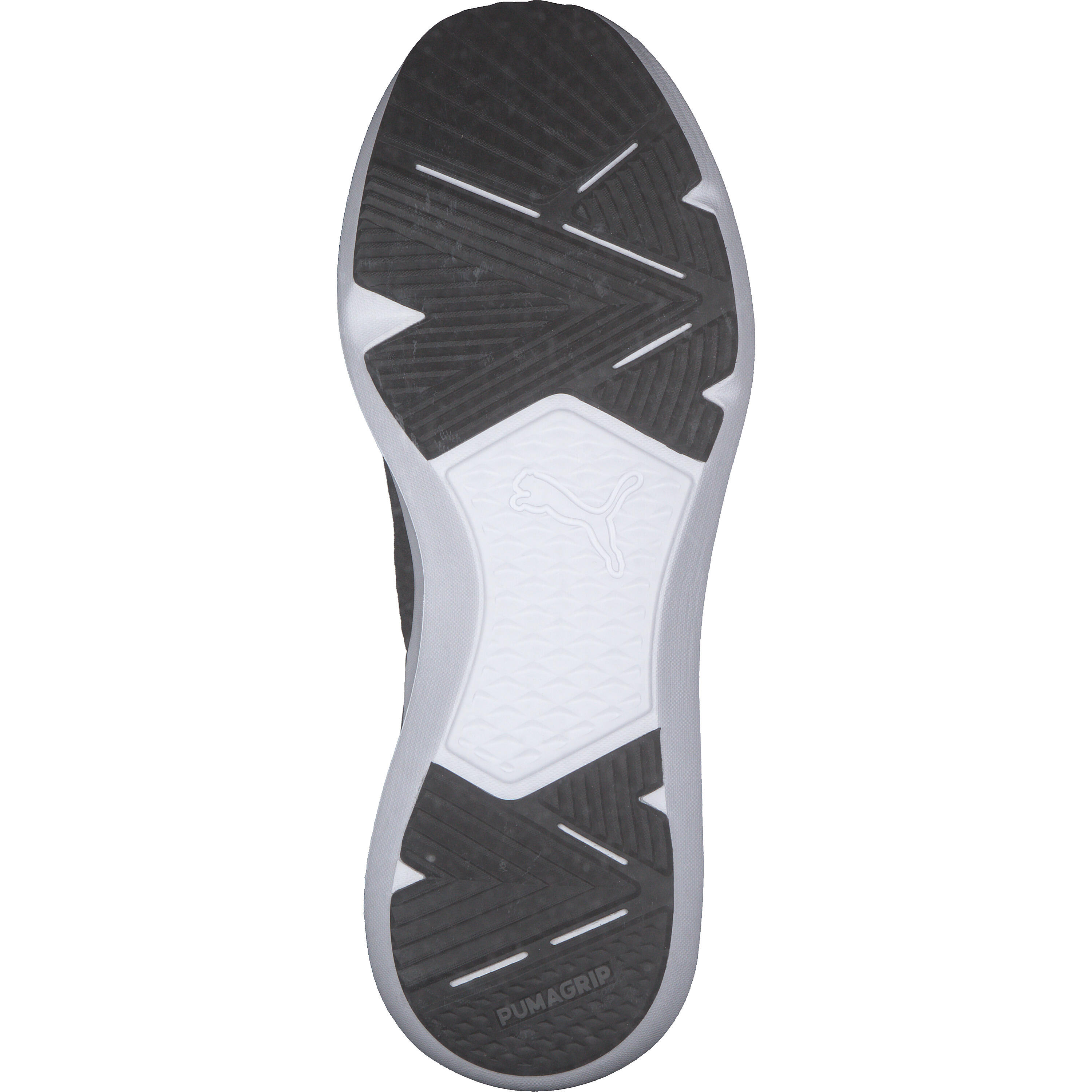 Puma Herren Trainingsschuhe Pure XT Fresh 377276 6/15