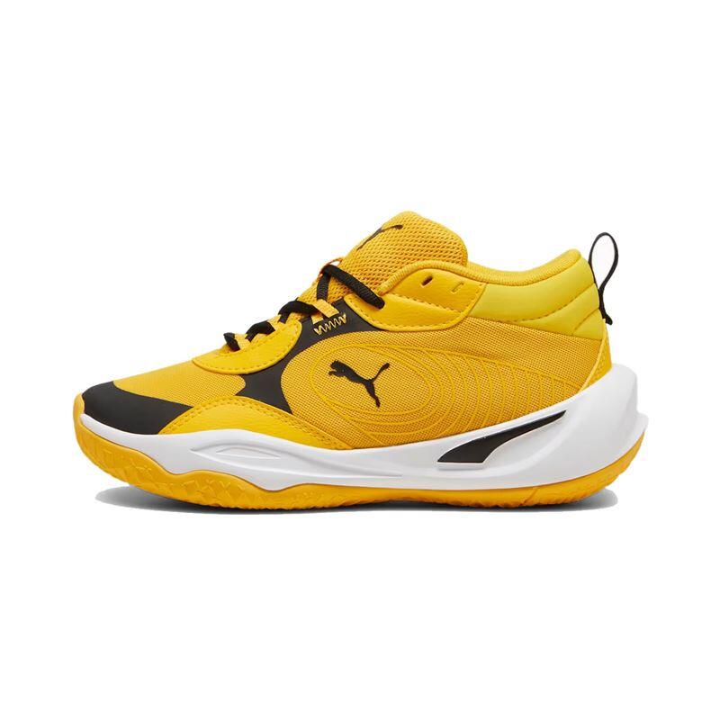 PUMA picture
