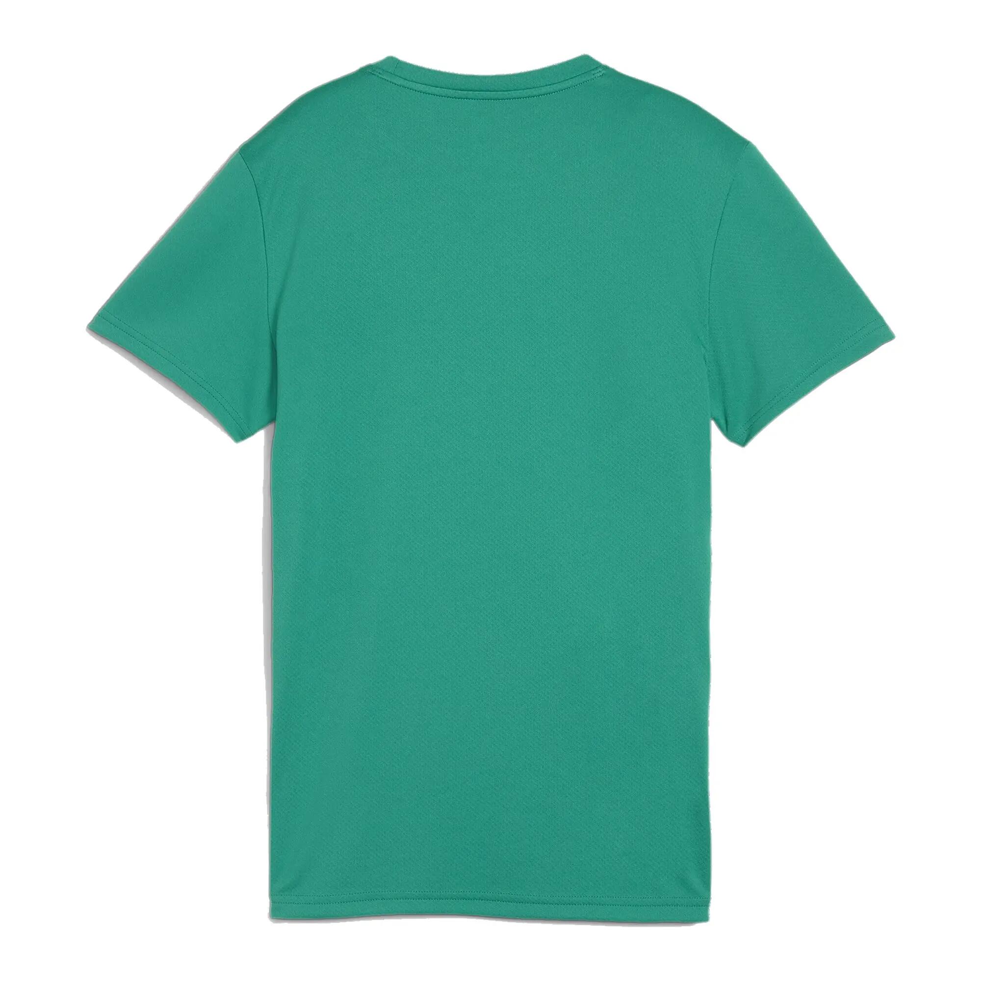 Puma Damen Trikot teamGOAL Jersey Wmn 658638 2/3