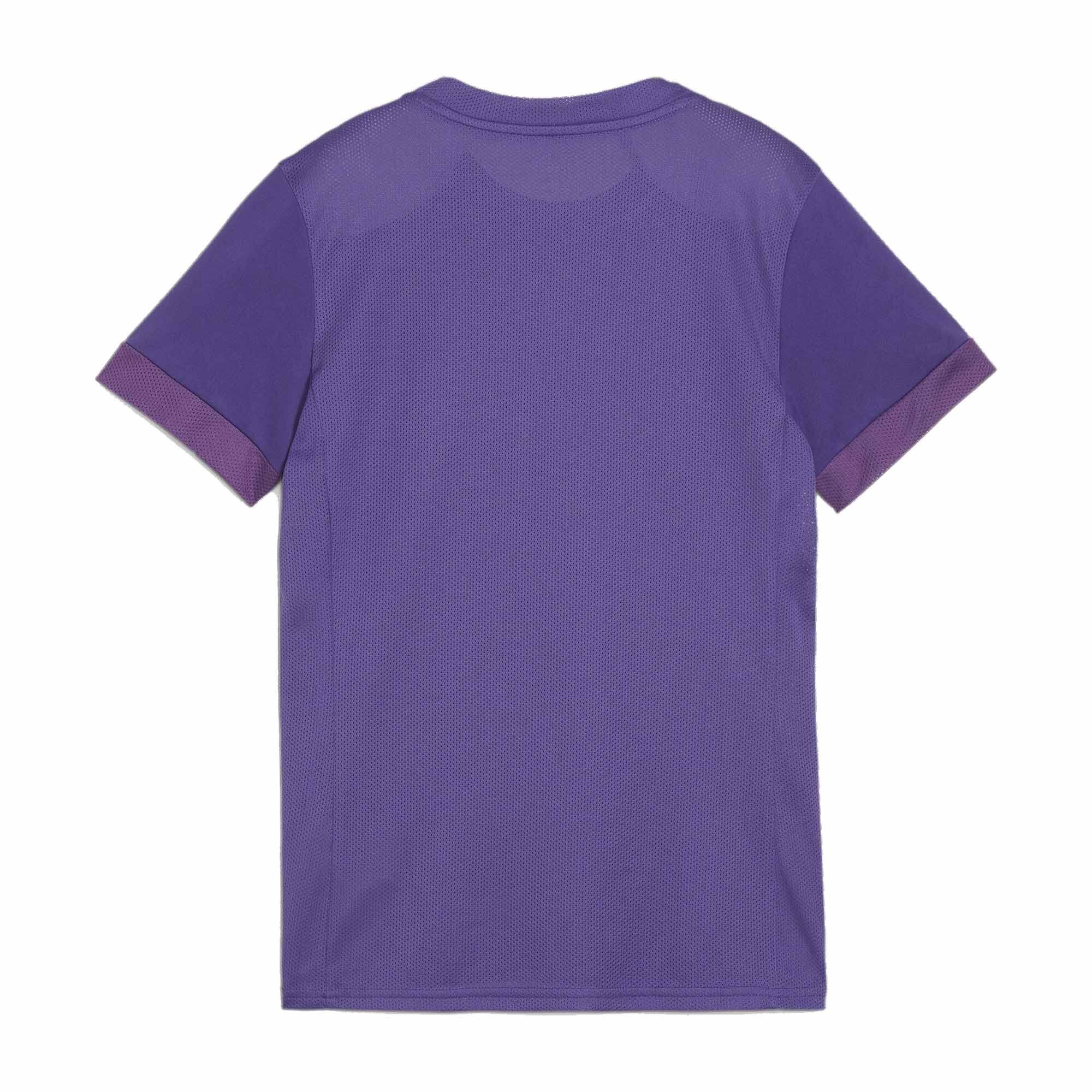 Puma Damen Trikot teamGOAL Matchday Jersey Wmns 705749 2/3