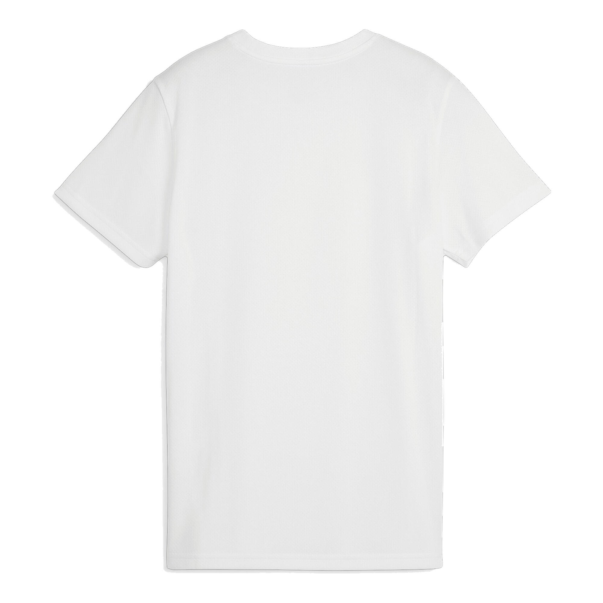 Puma Damen Trikot teamGOAL Jersey Wmn 658638 2/2