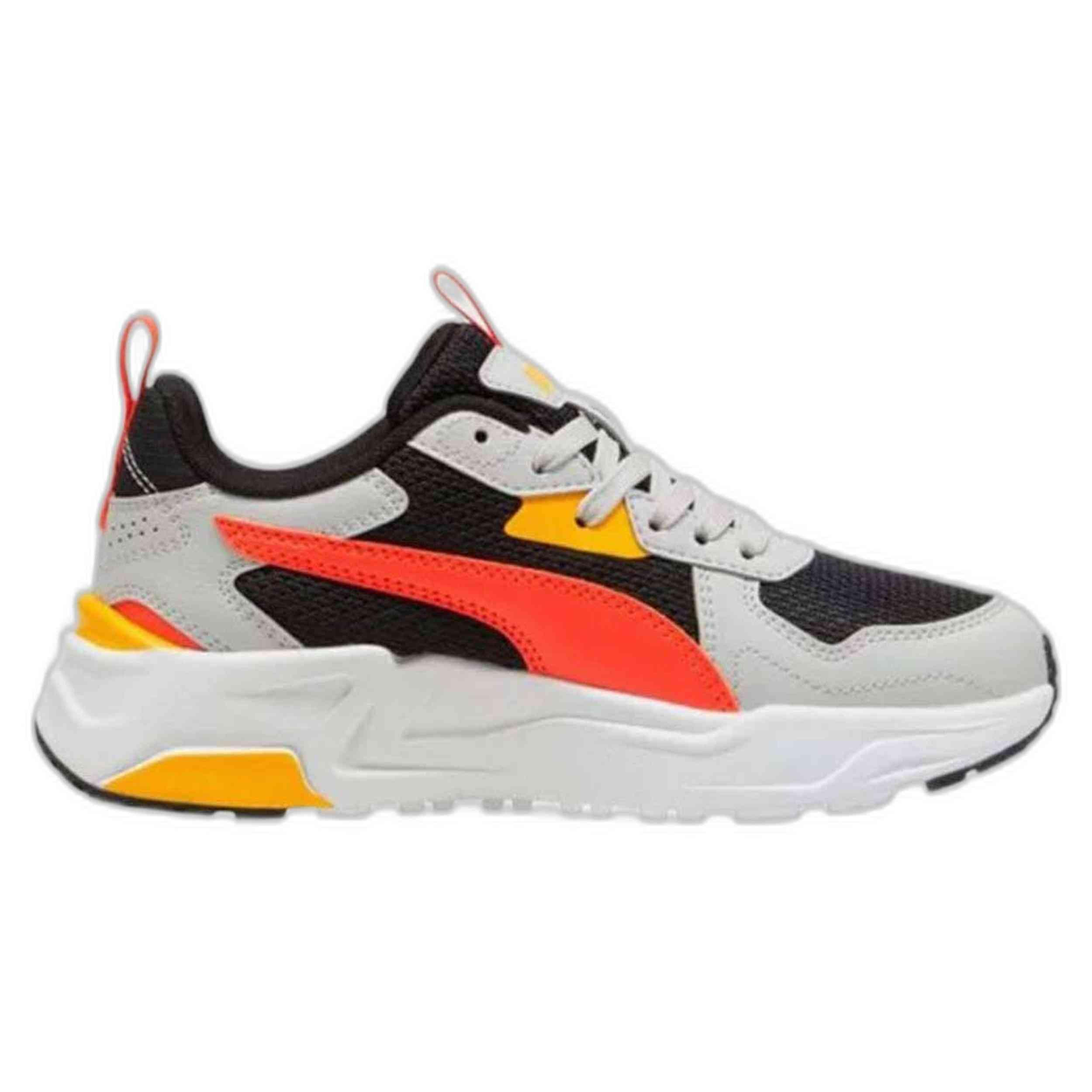 PUMA picture