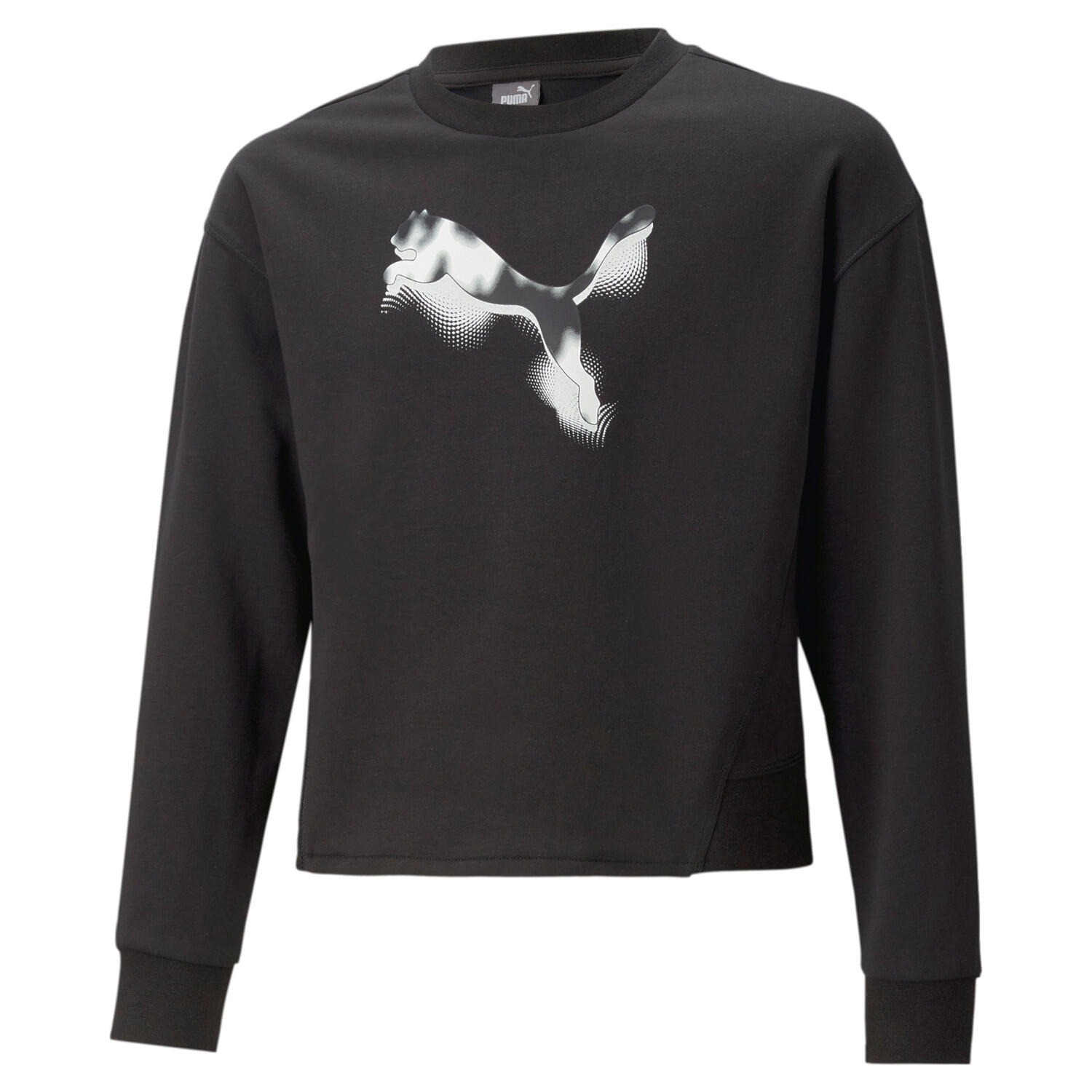 PUMA picture