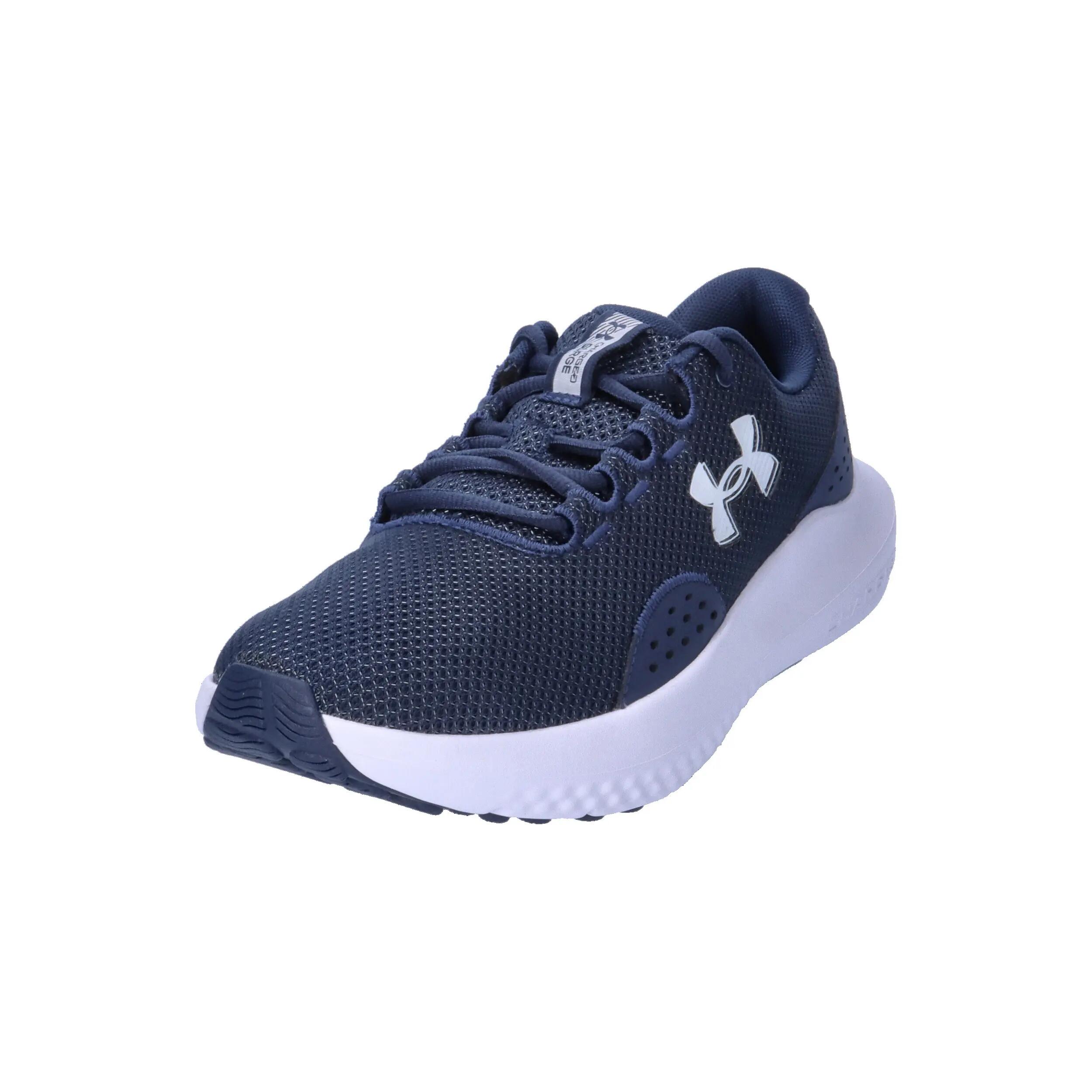 Under Armour Herren Laufschuhe Charged Surge 4 3027000 4/14
