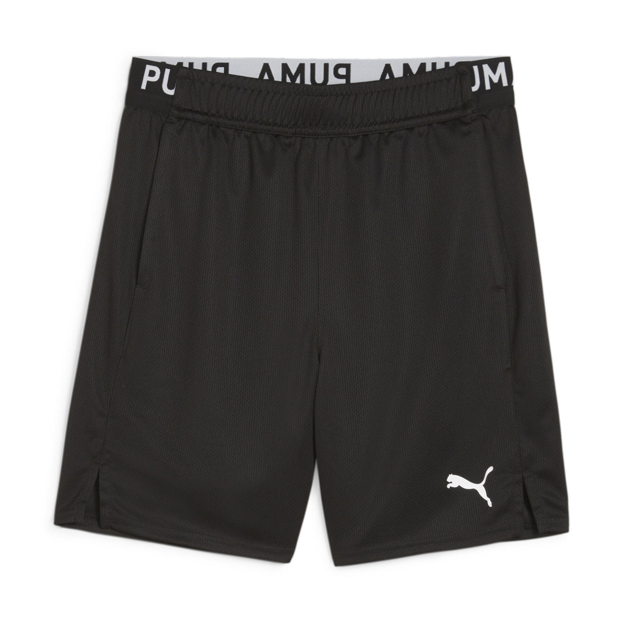 PUMA picture