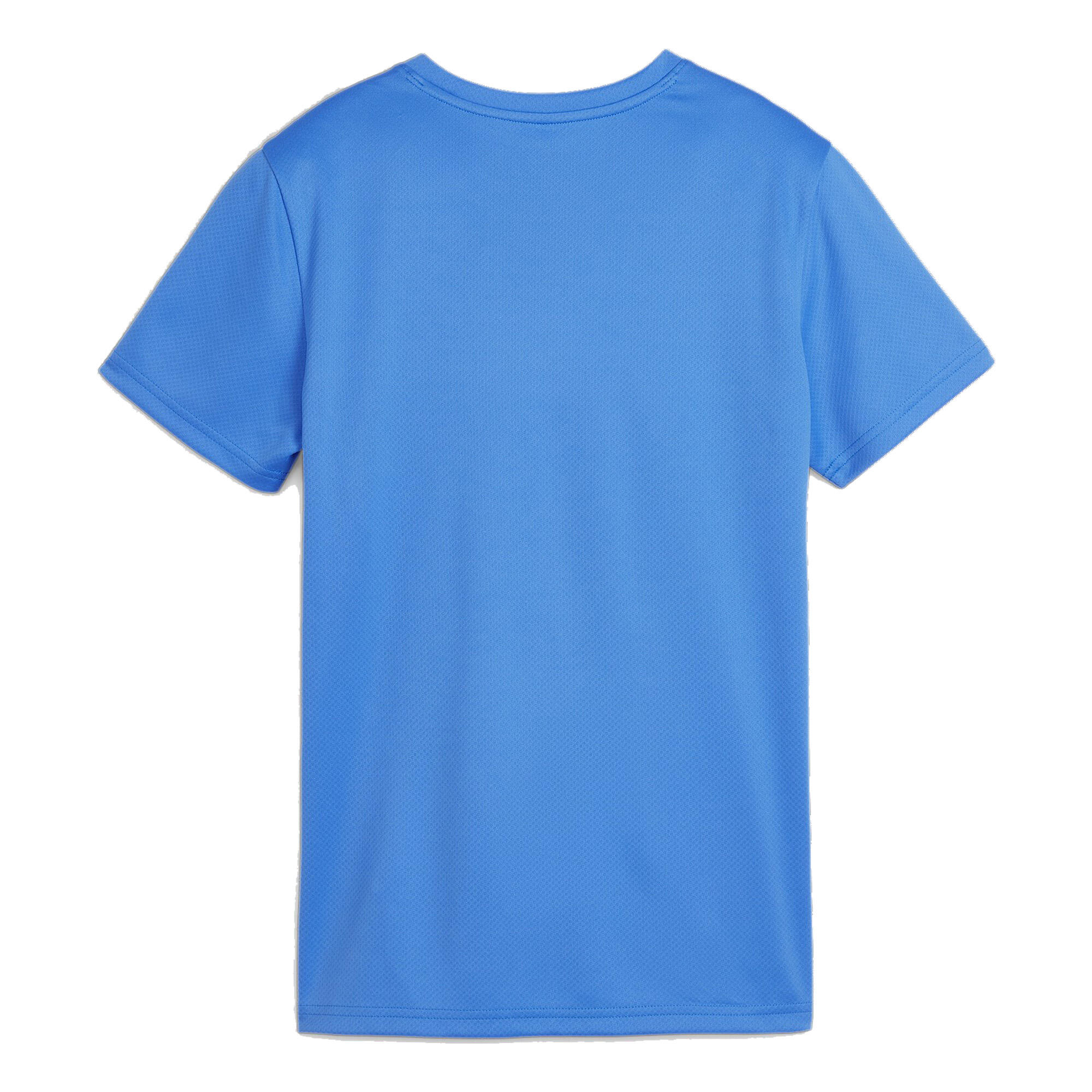 Puma Damen Trikot teamGOAL Jersey Wmn 658638 2/3