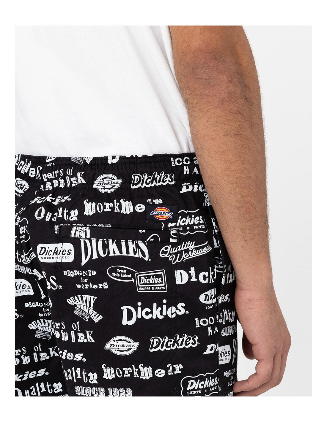 DICKIES DK0A4XON - Short 4/5