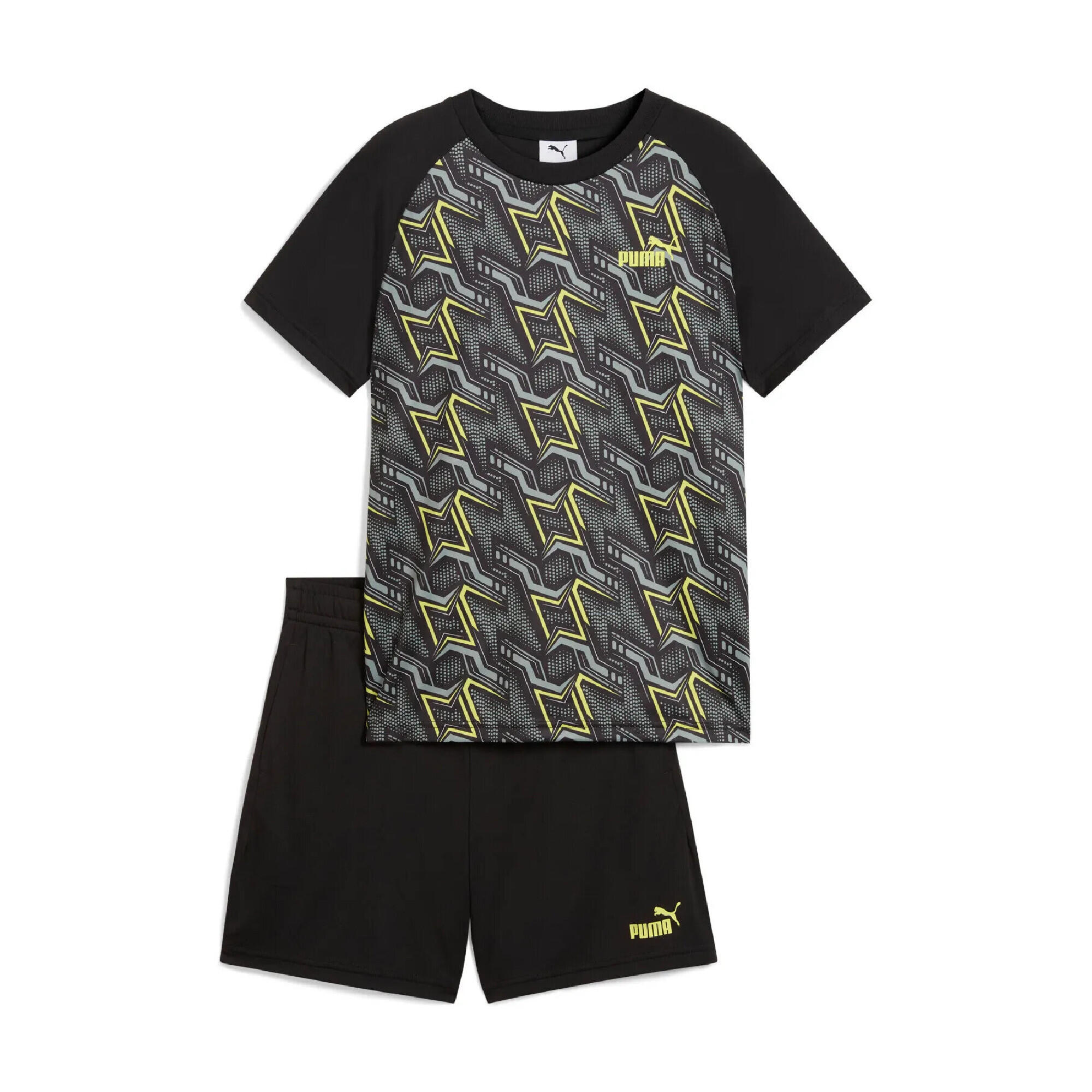 PUMA picture