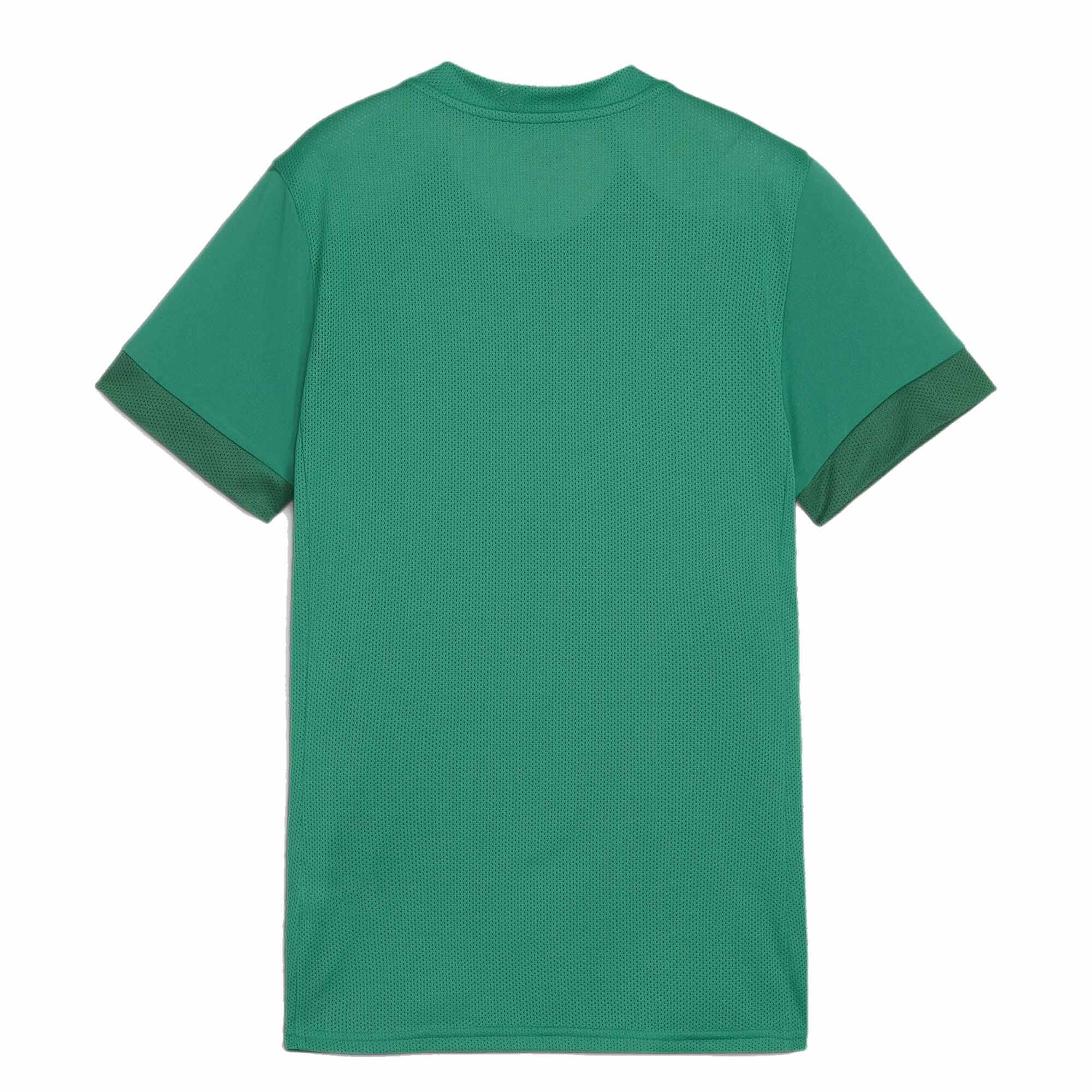Puma Damen Trikot teamGOAL Matchday Jersey Wmns 705749 2/2