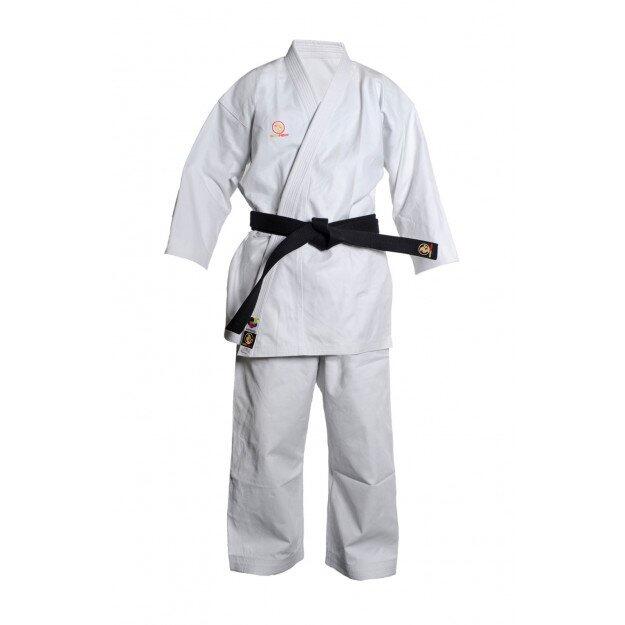 BUDO-FIGHT picture