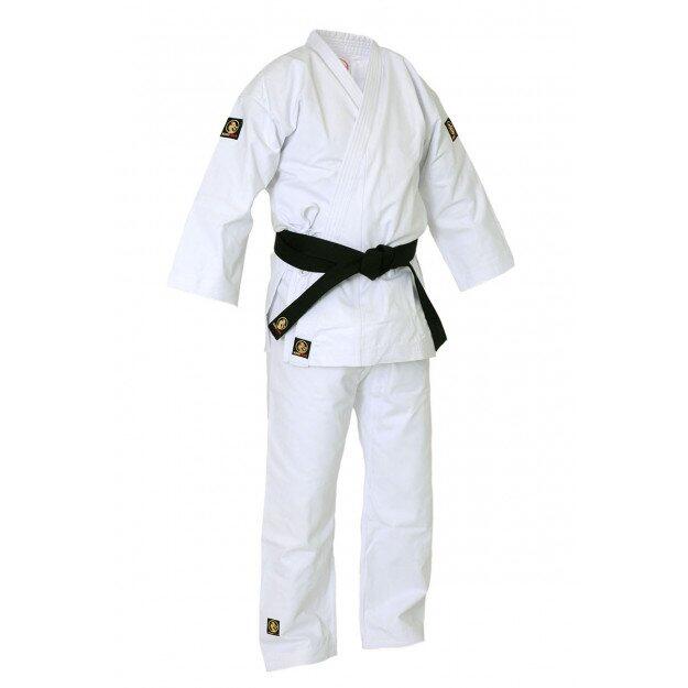 BUDO-FIGHT picture