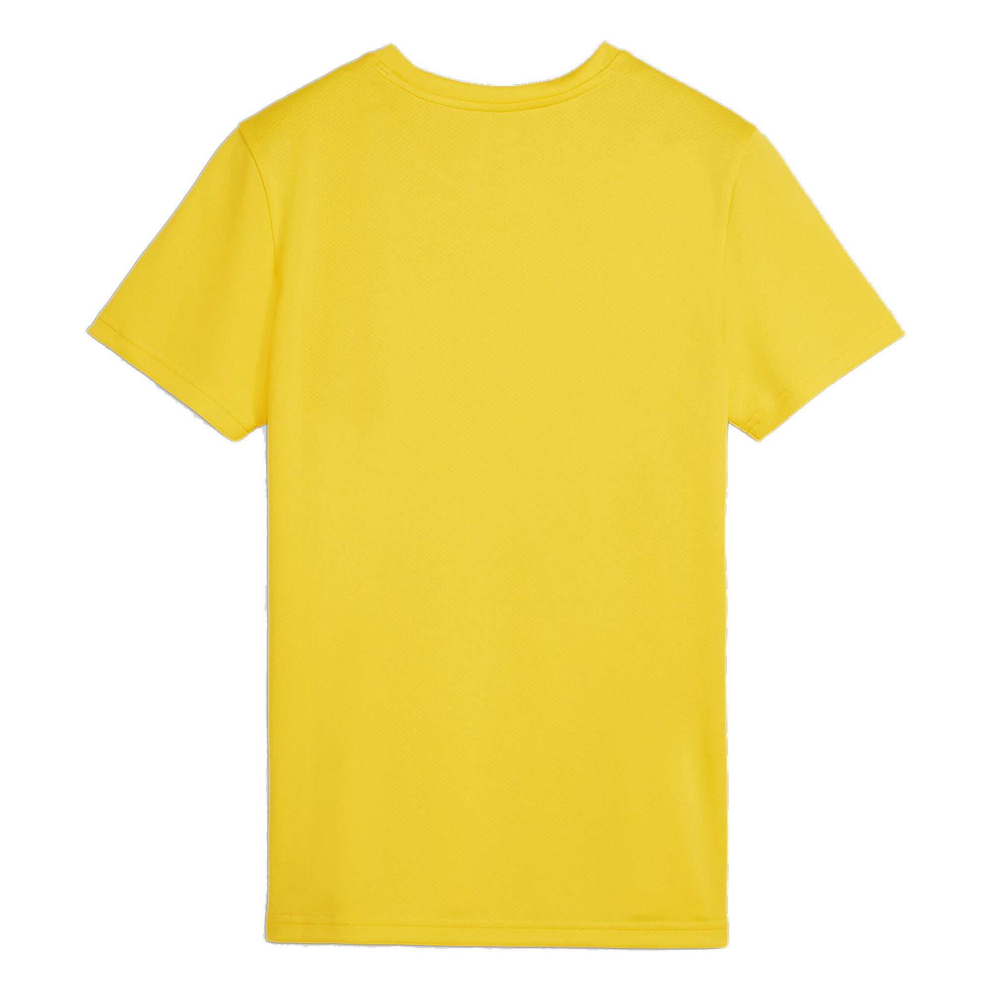 Puma Damen Trikot teamGOAL Jersey Wmn 658638 2/3
