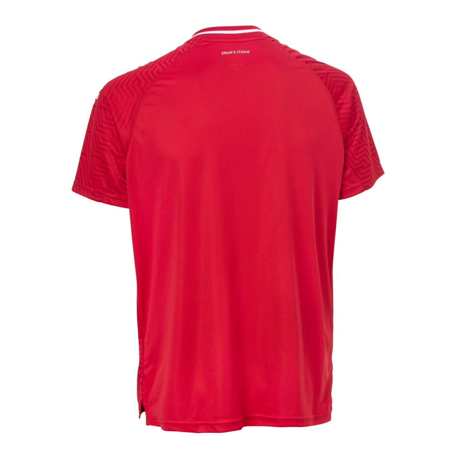 Derbystar Herren Trikot Kurzarm Primo v24 2/2