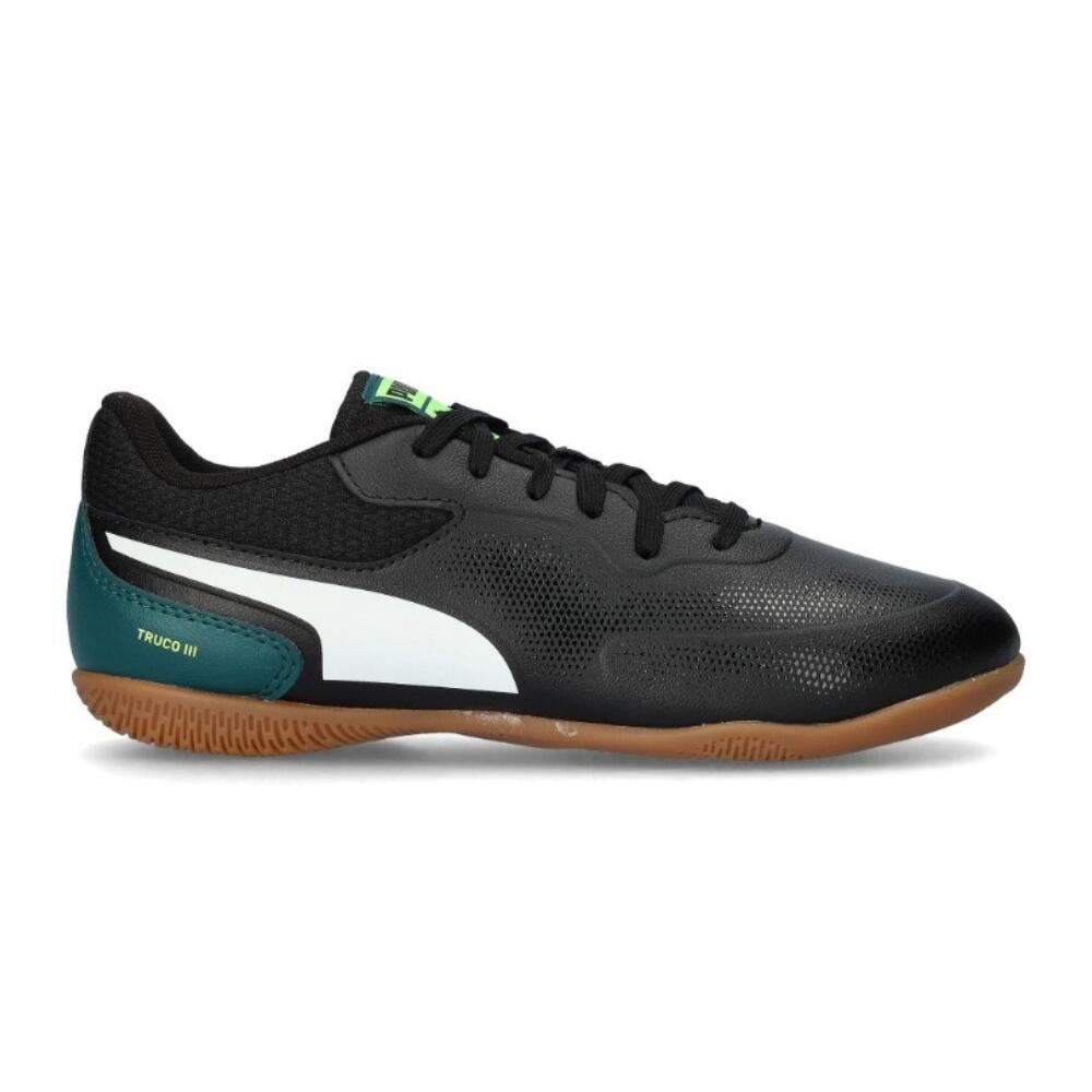 PUMA picture