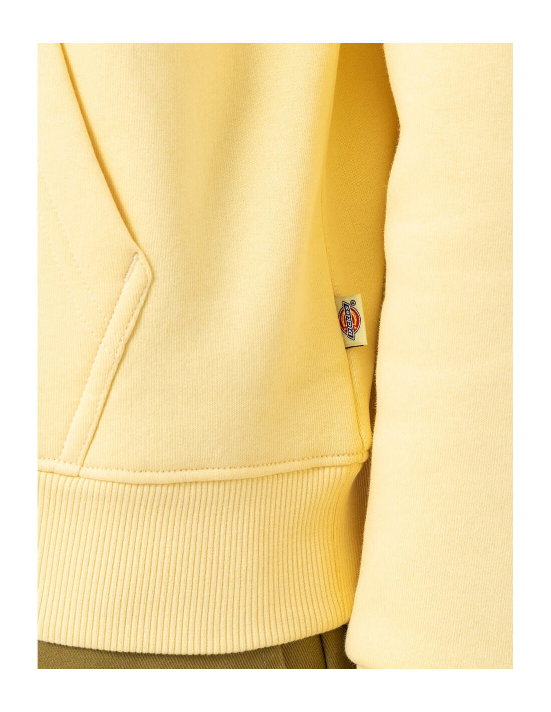 Sweat-shirt DICKIES DK0A4XCB 5/5