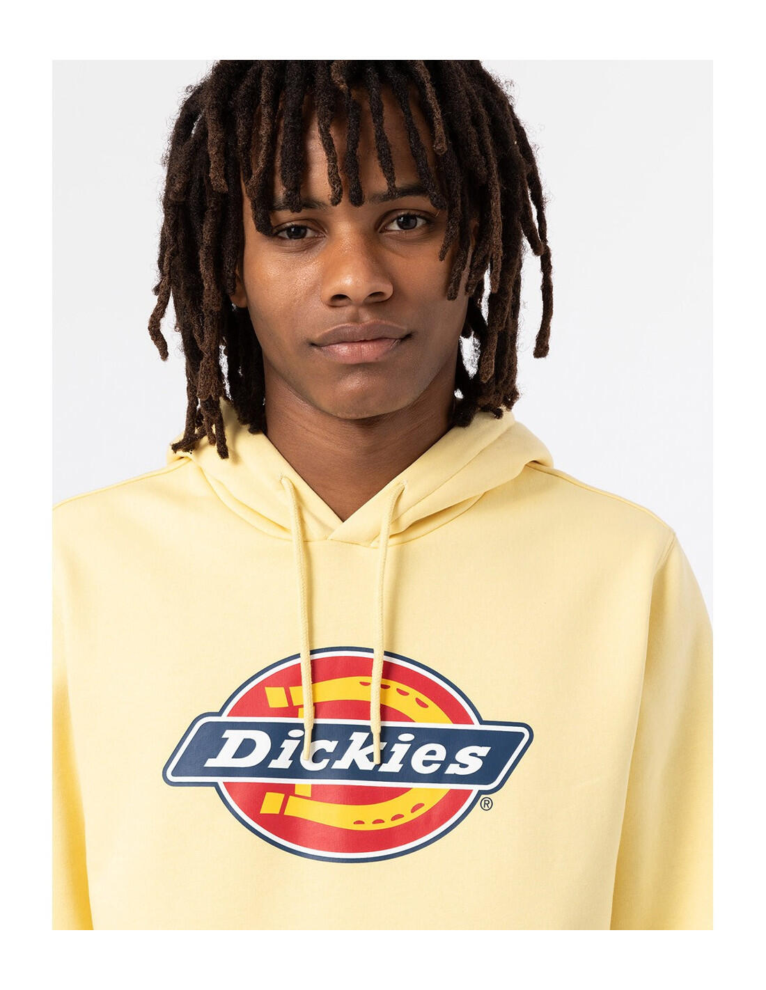 Sweat-shirt DICKIES DK0A4XCB 4/5