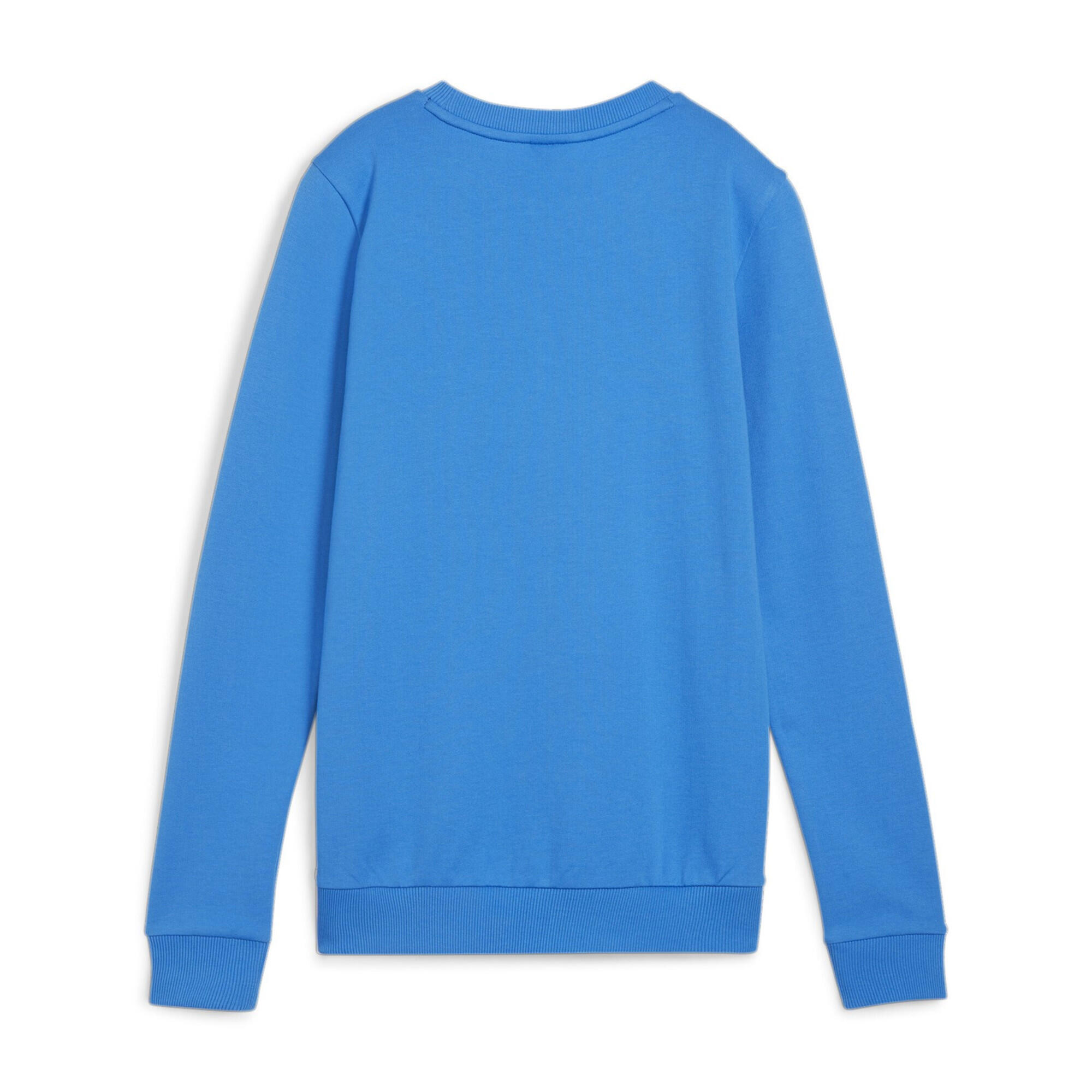 Puma Damen Pullover teamGOAL Casuals Crew Neck Sweat 658594 2/3