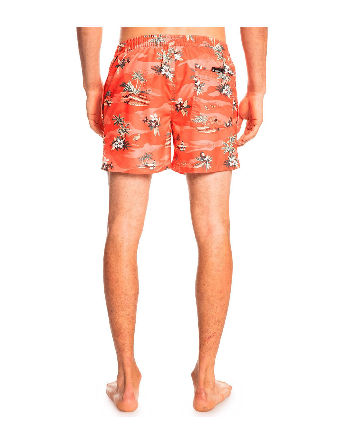 Pantaloncini da bagno QUIKSILVER Everyday Scenic Volley 15 3/5