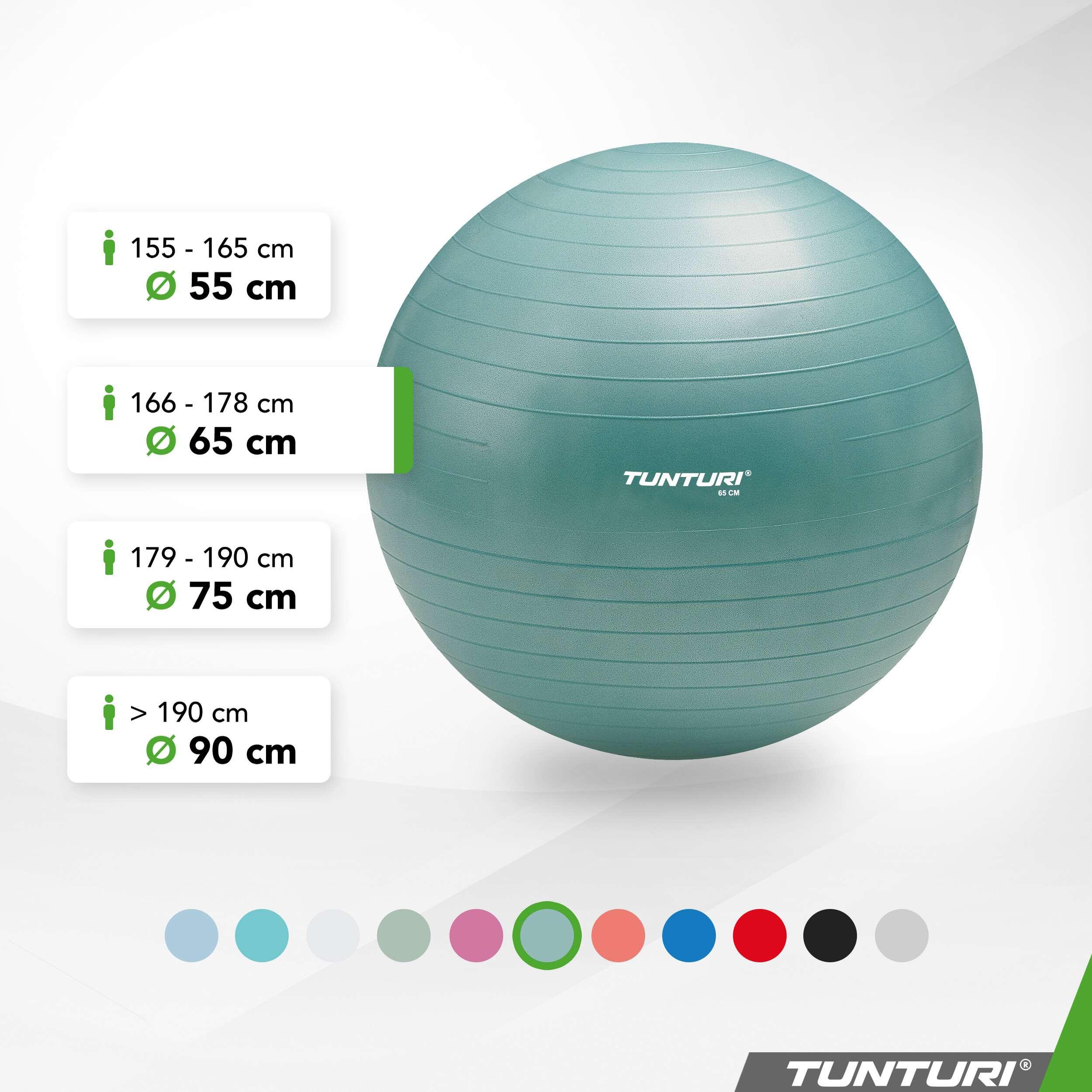 Balón Suizo Ejercicio Tunturi PVC 75 cm 220 kg 2/7